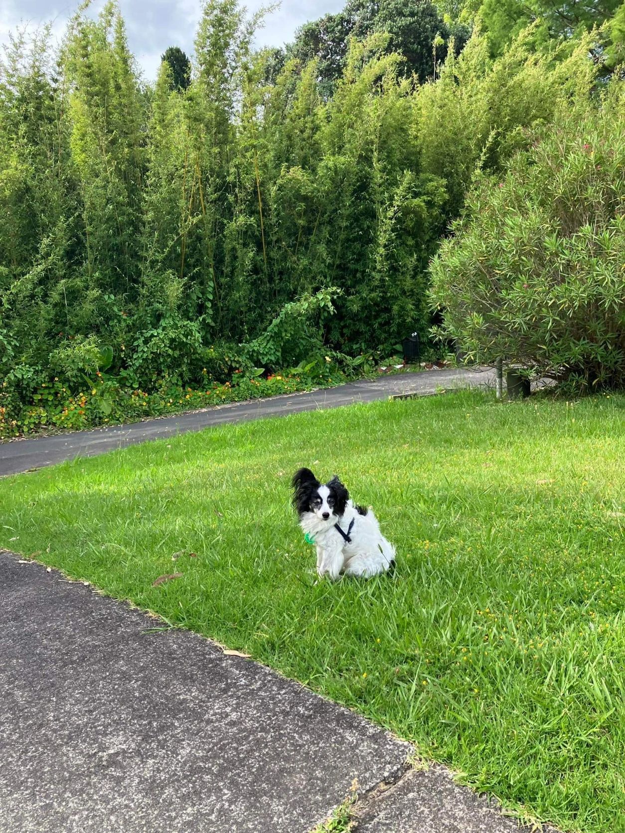 image-28