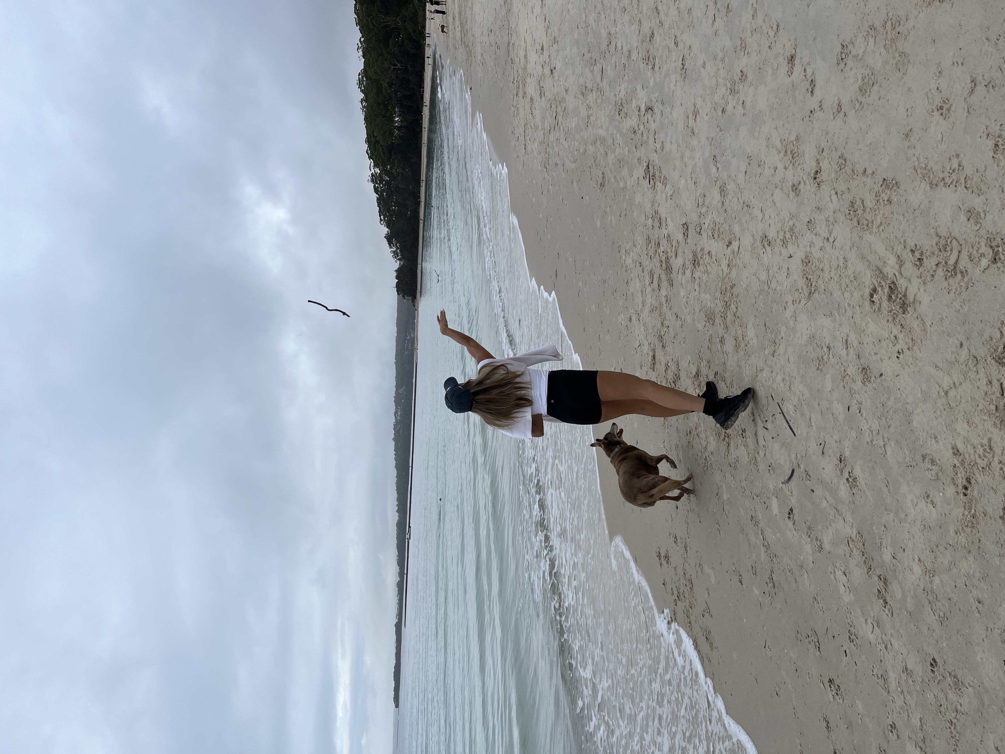 image-3