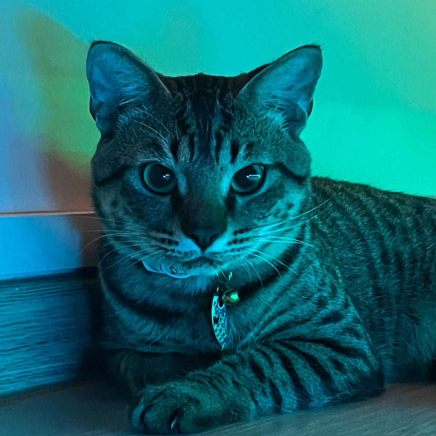Oscar