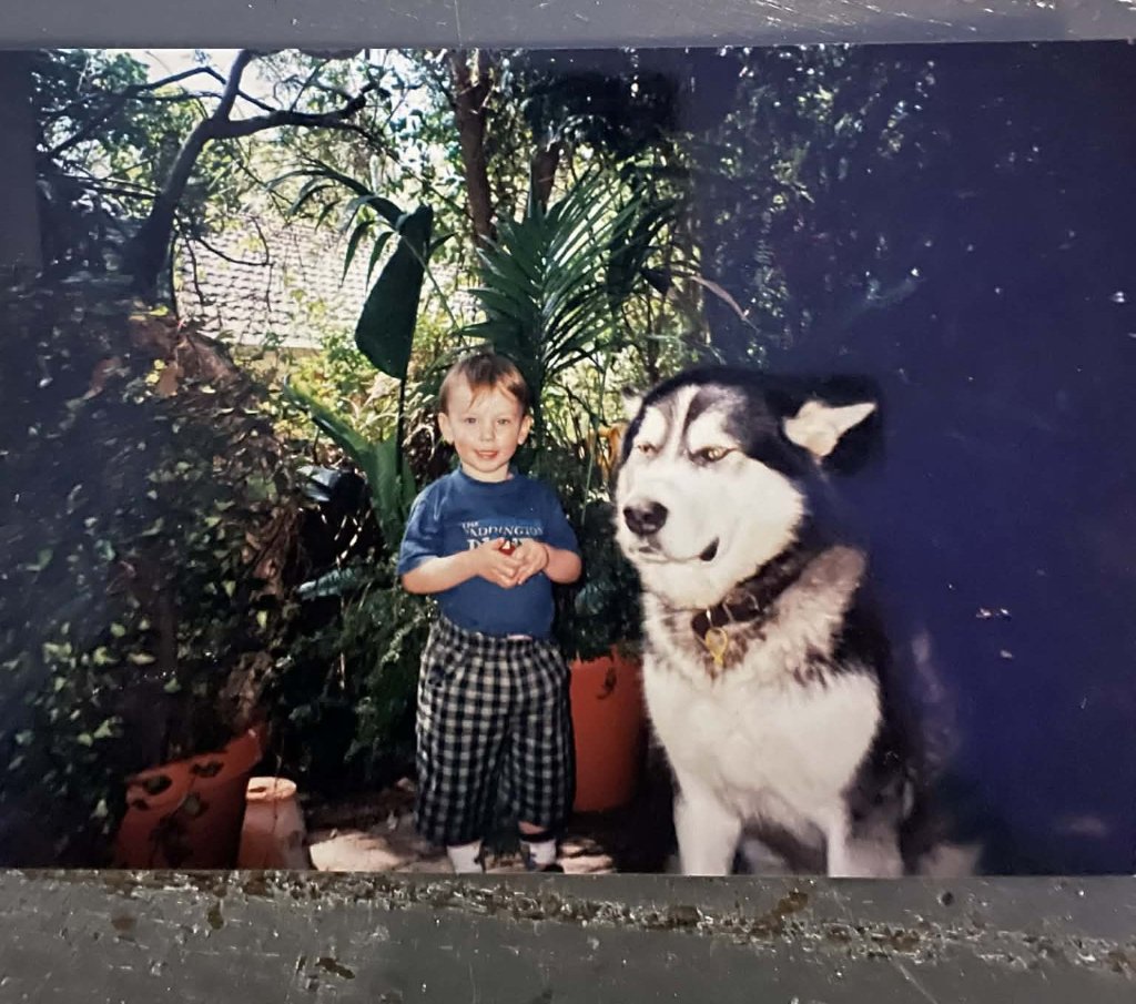 image-7