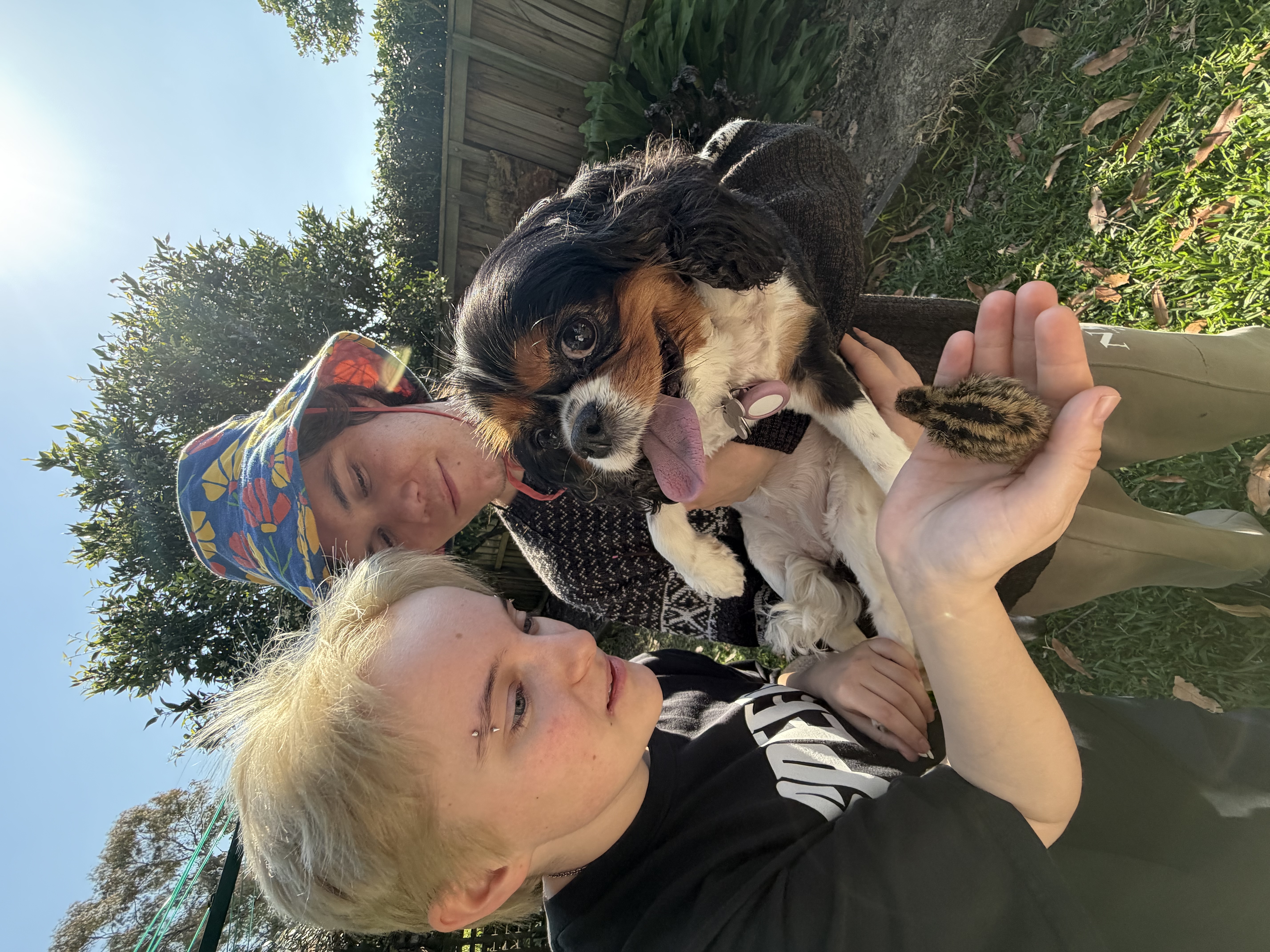 image-8