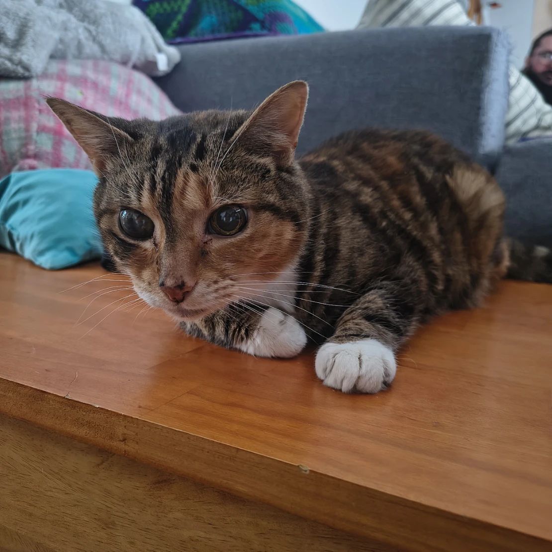 Lulu