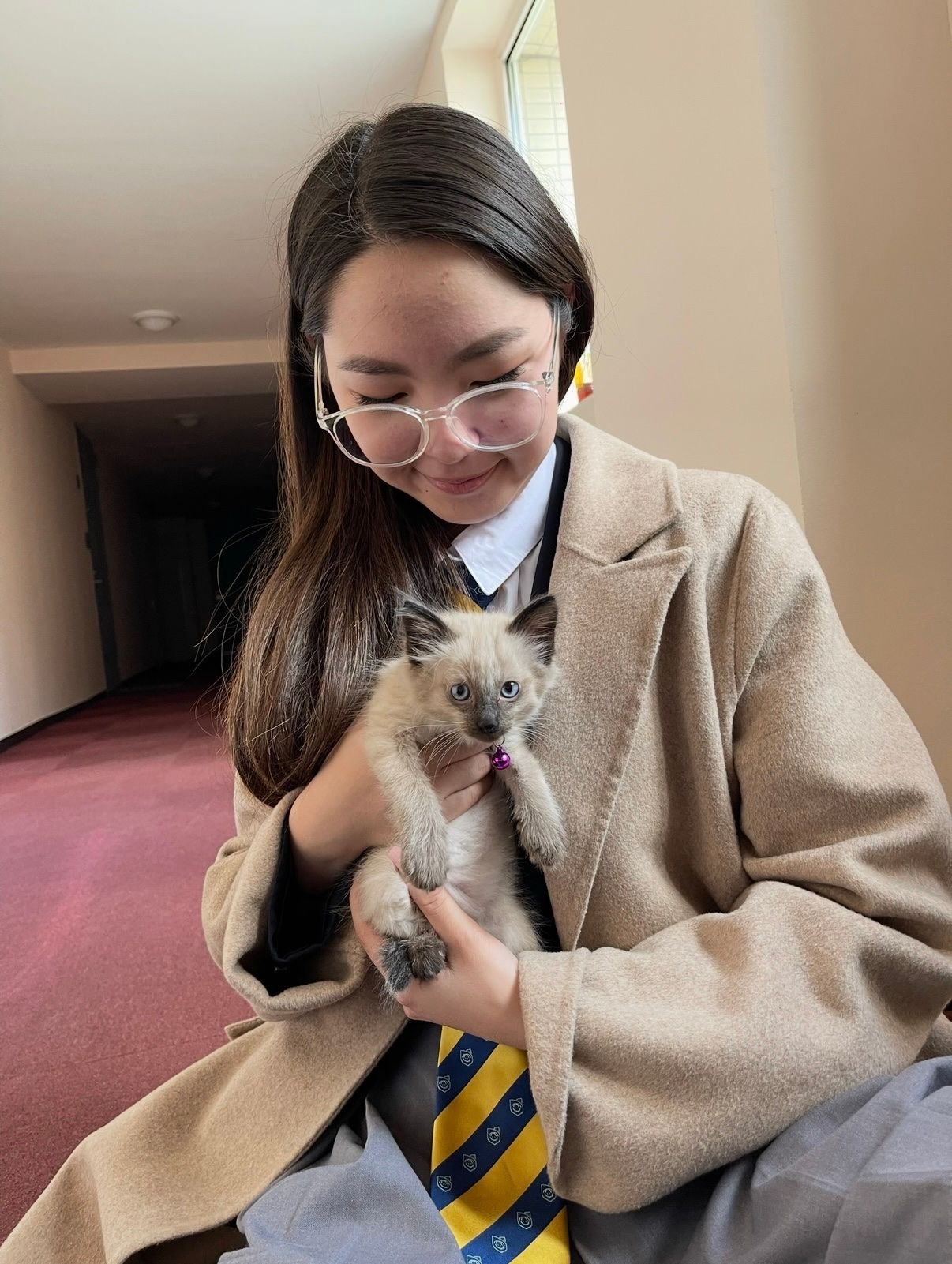 image-6