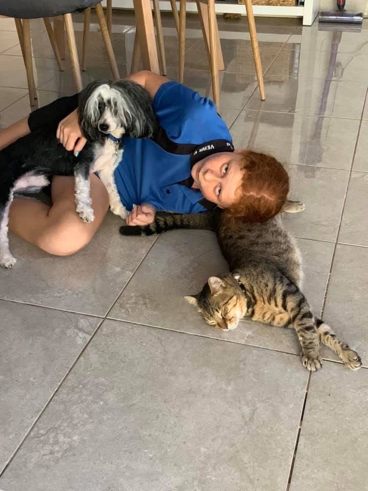 image-14