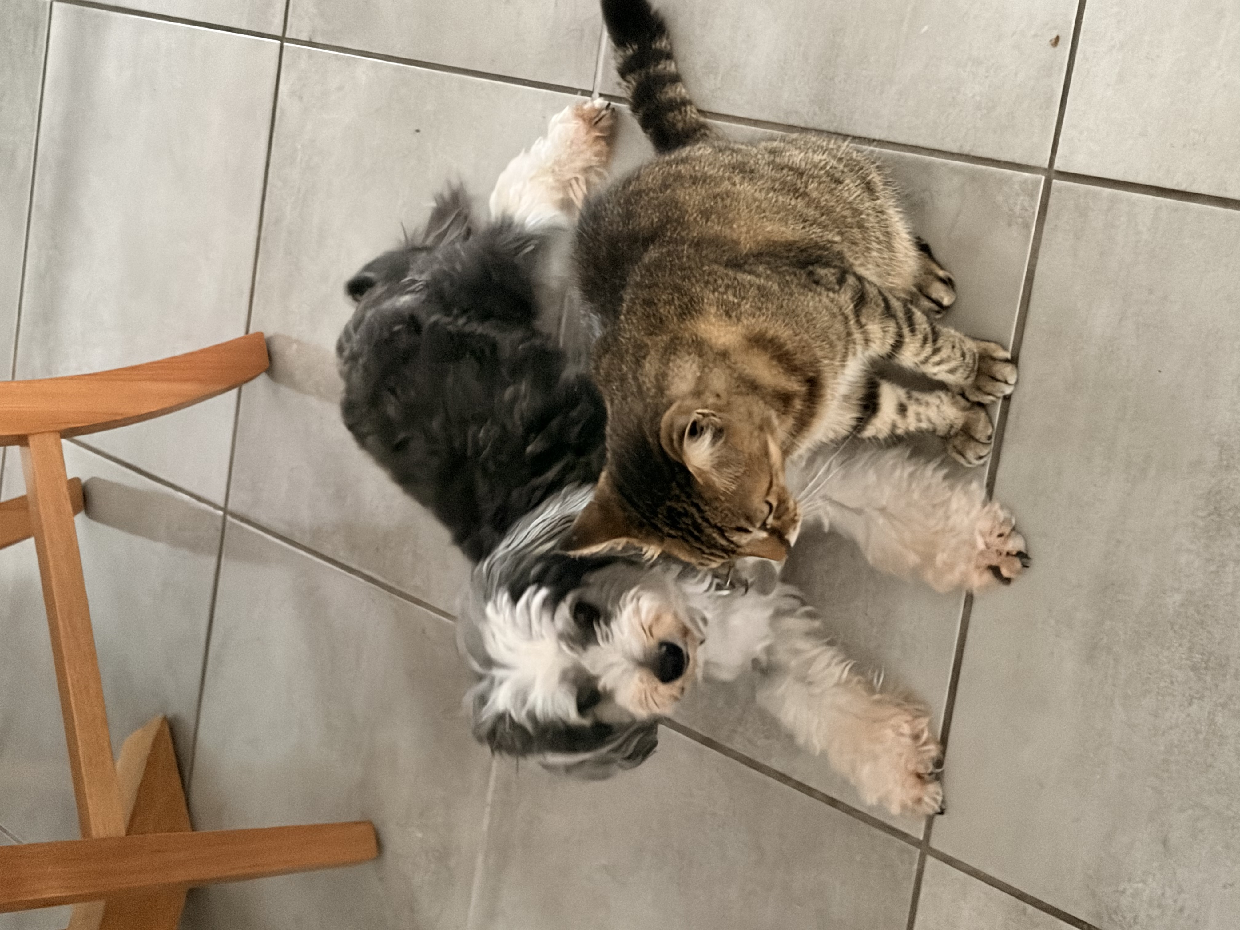 image-11