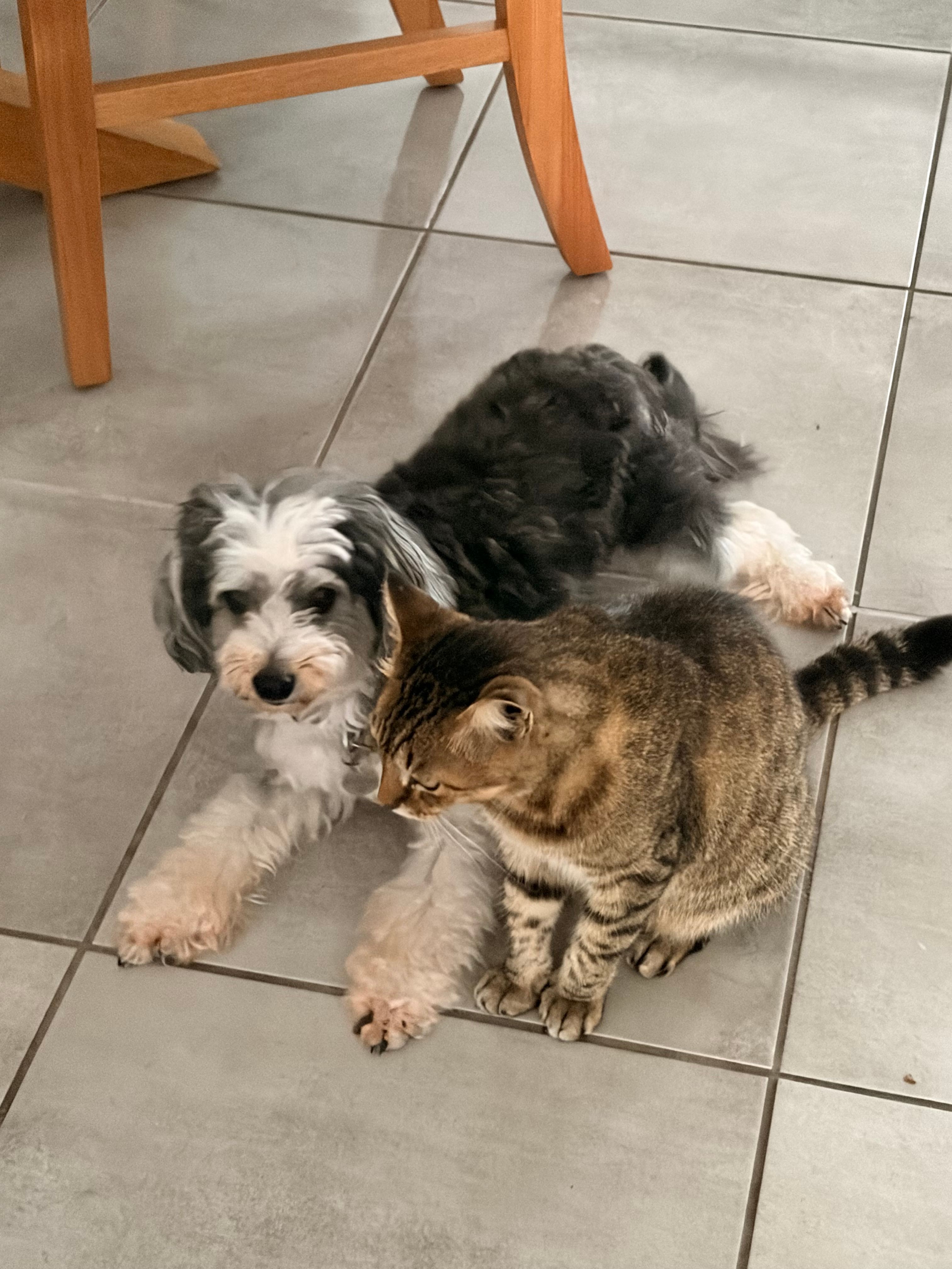 image-11