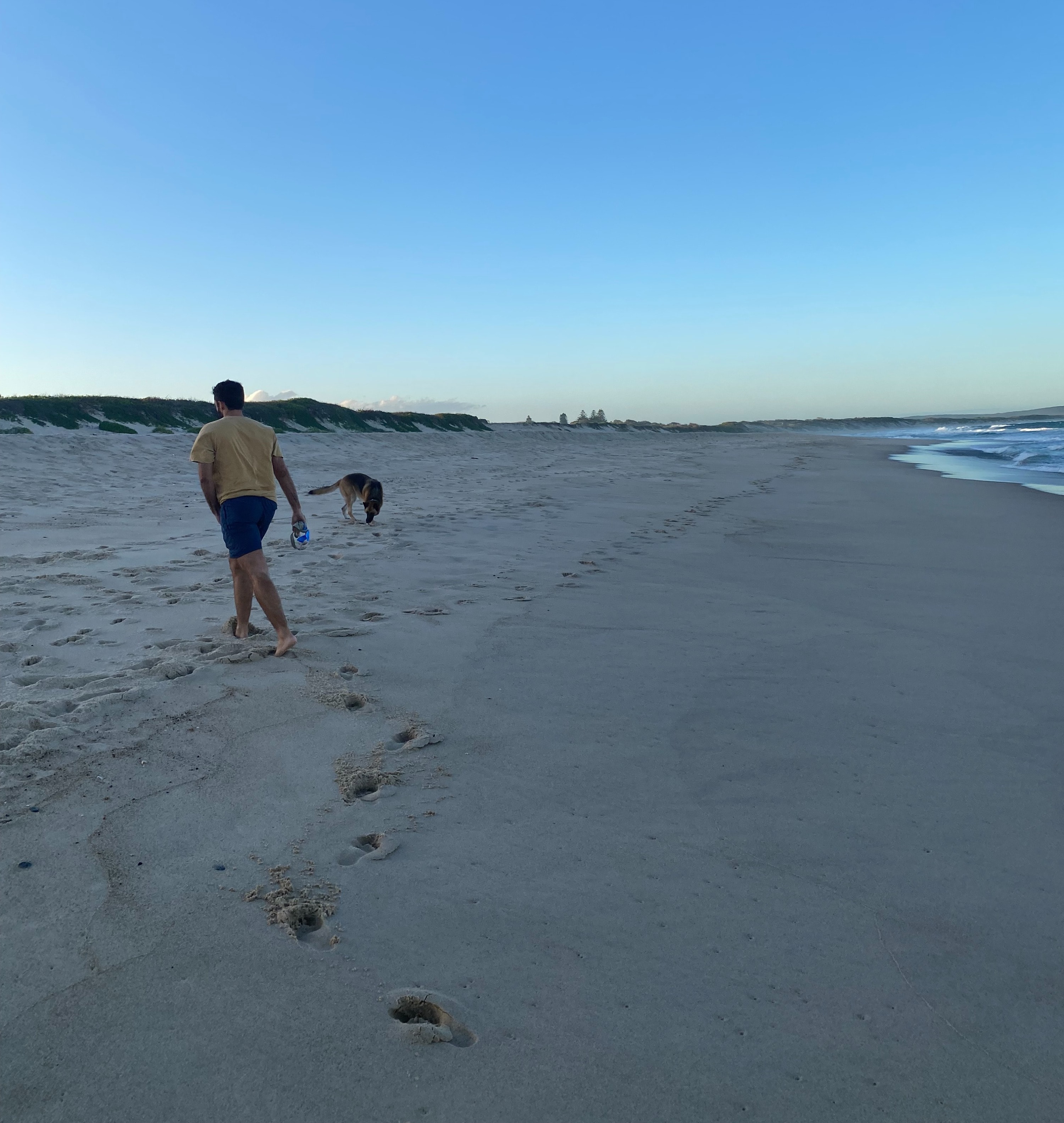 image-15