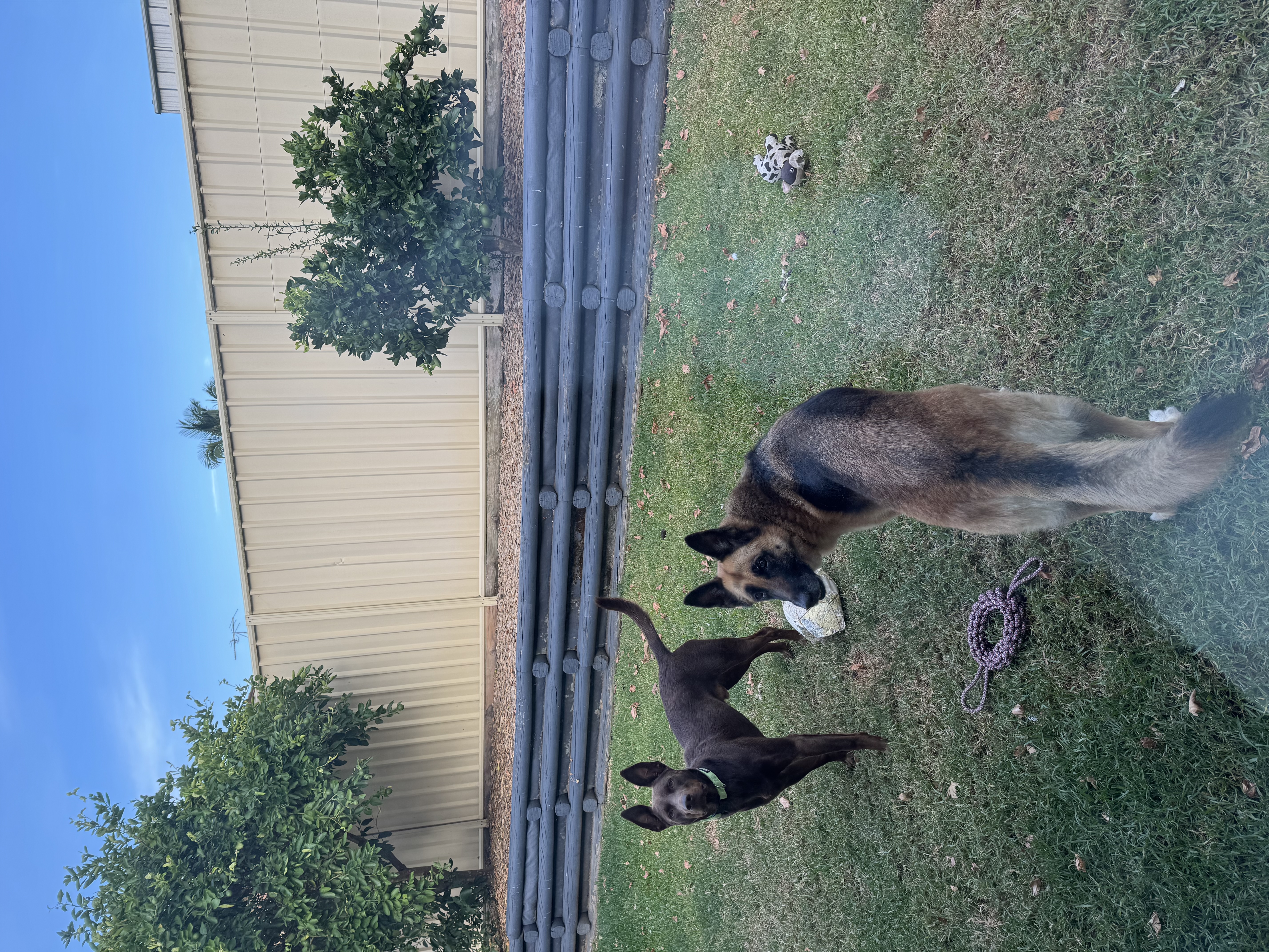 image-46