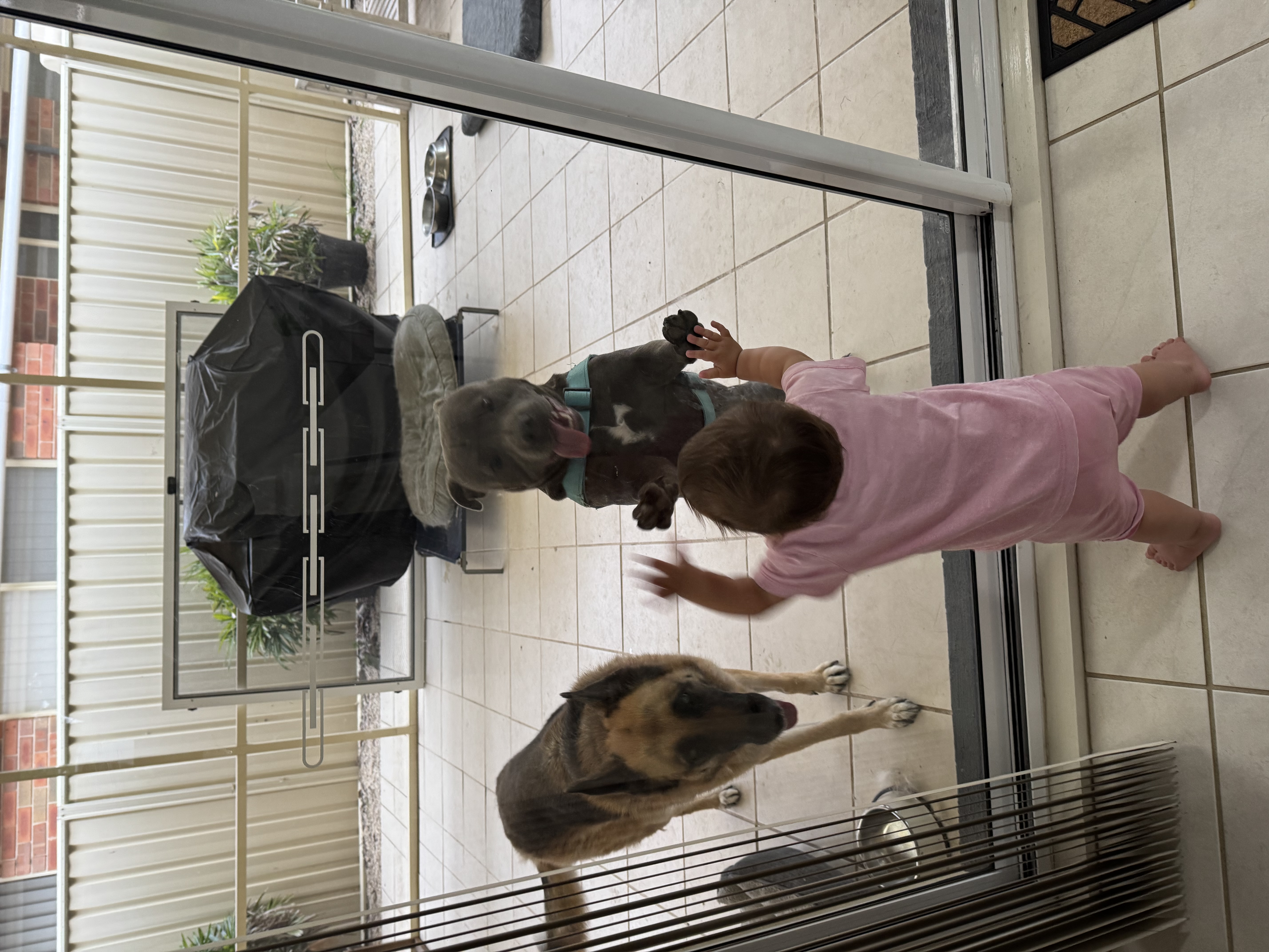 image-48