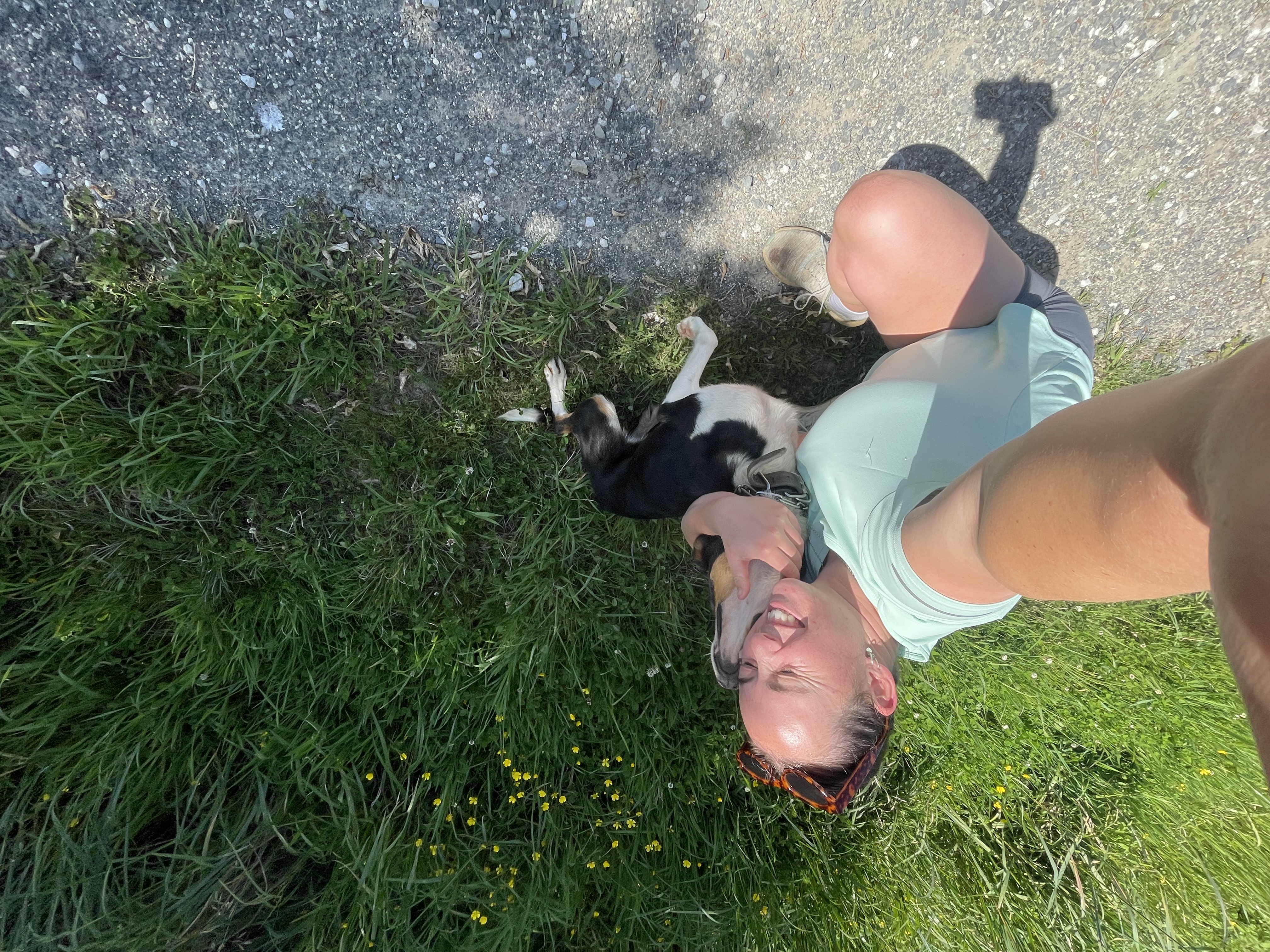 image-6