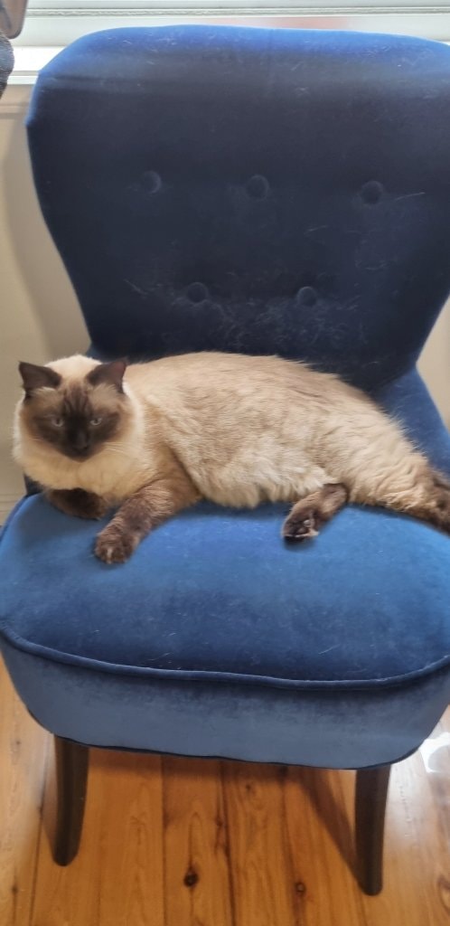 Paco