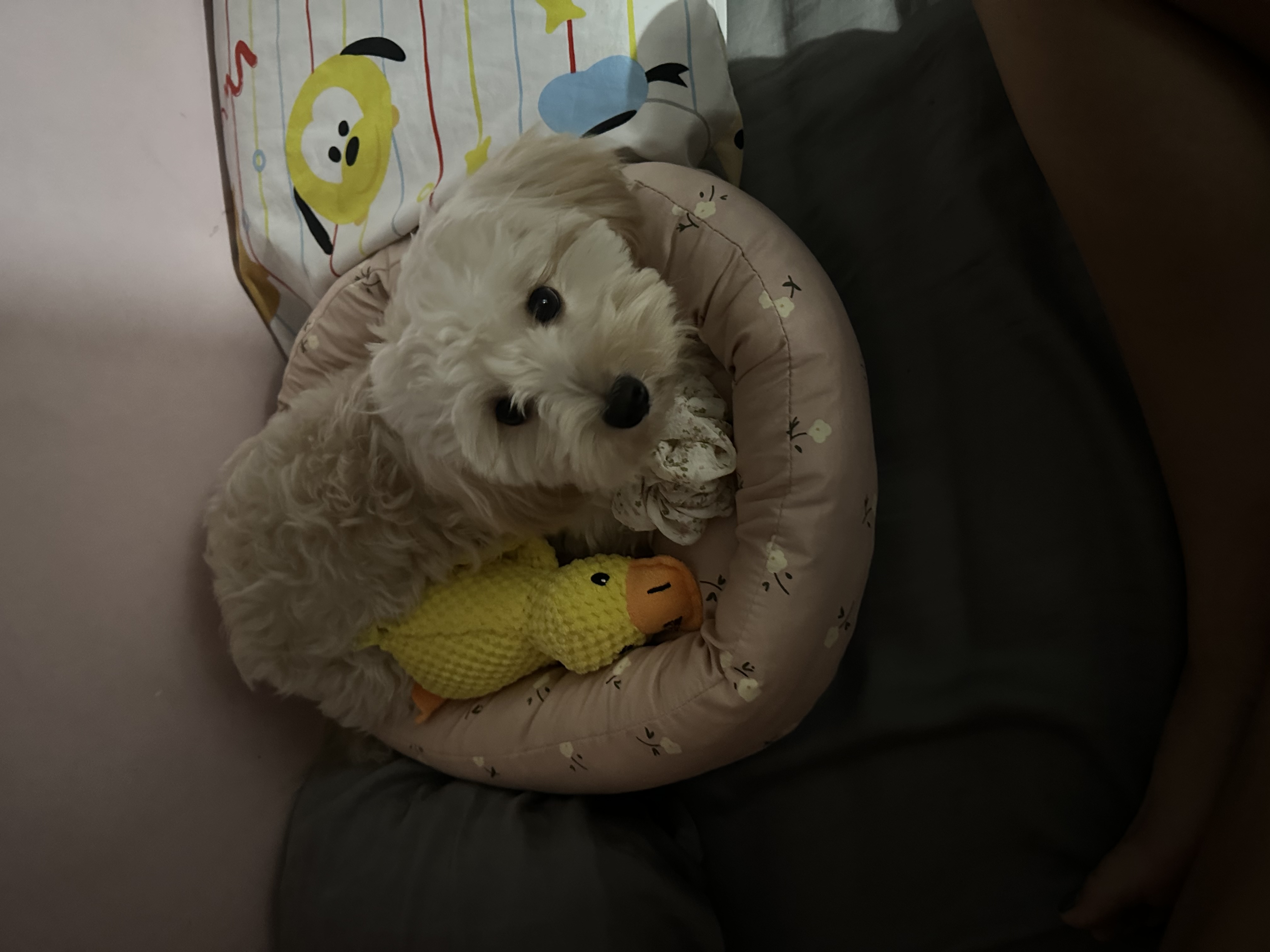 image-4