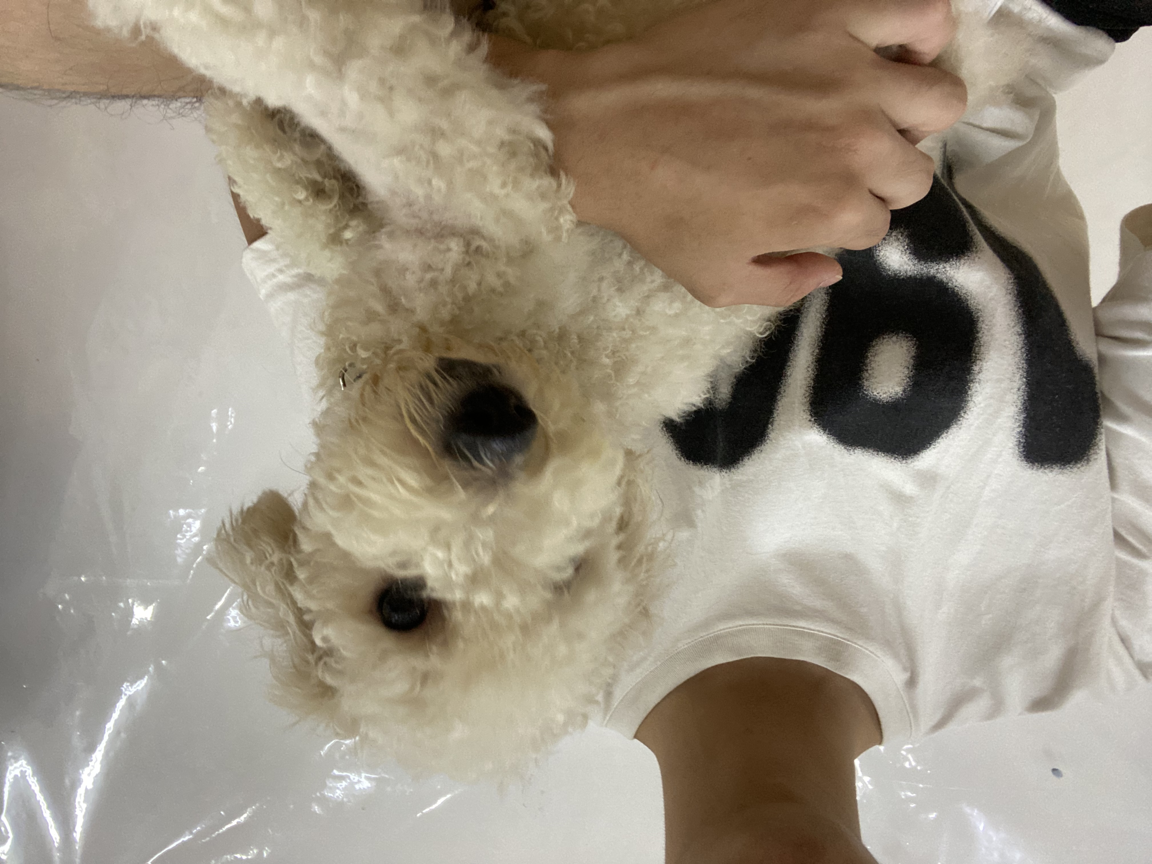 image-3
