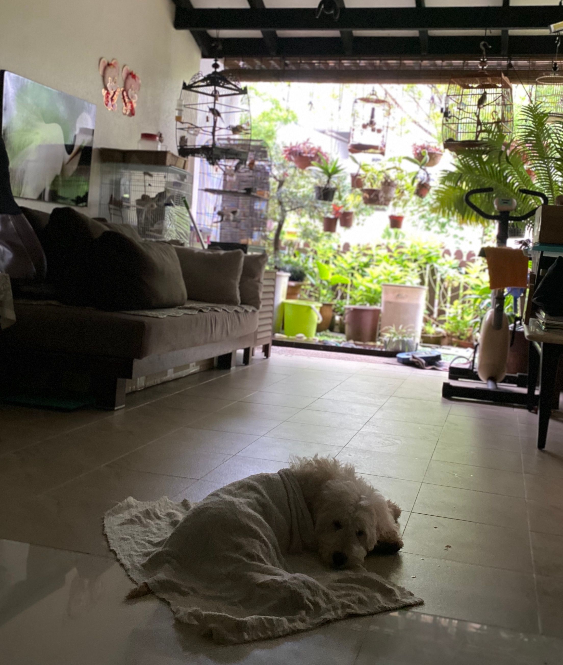image-16