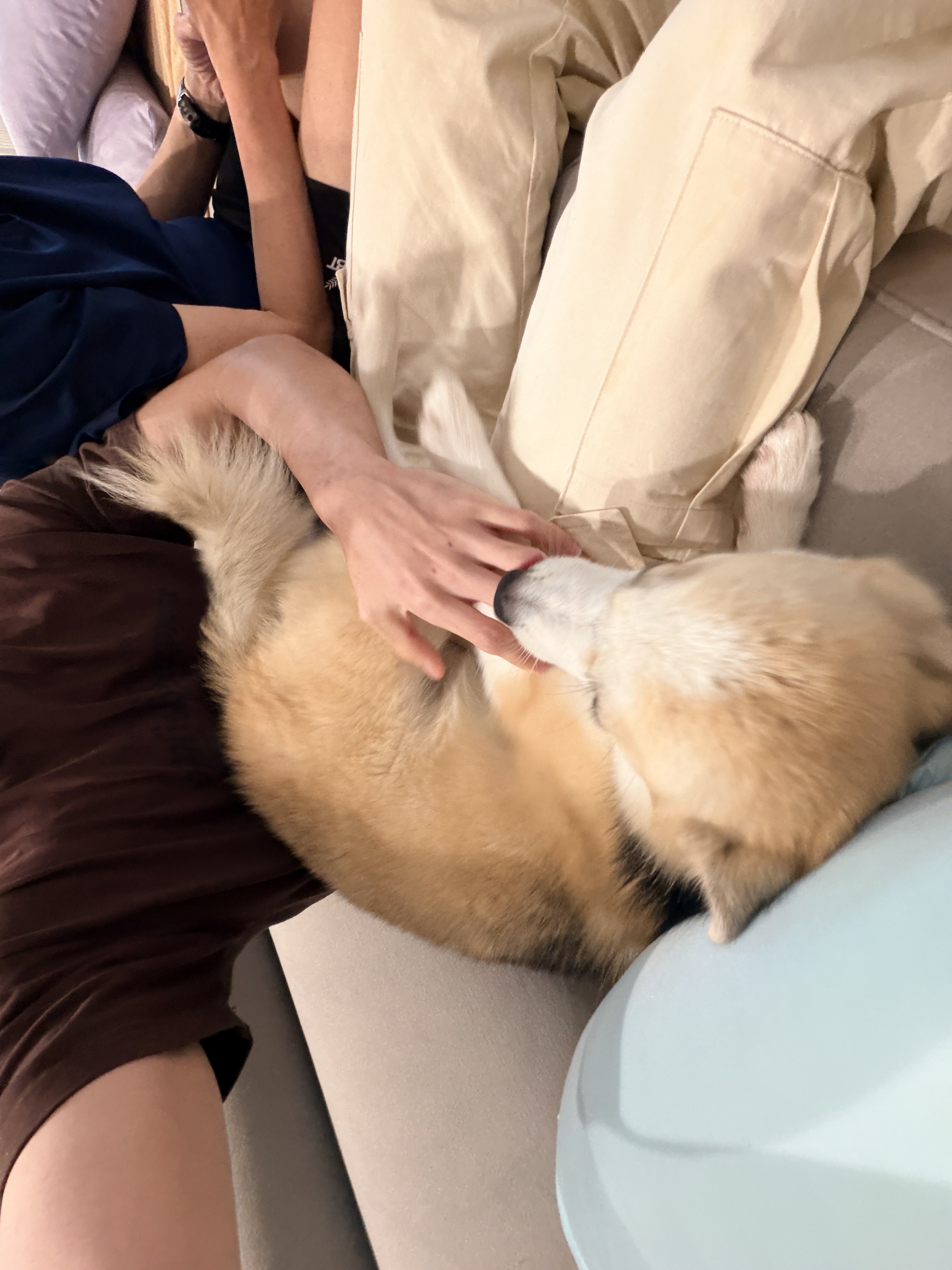 image-11