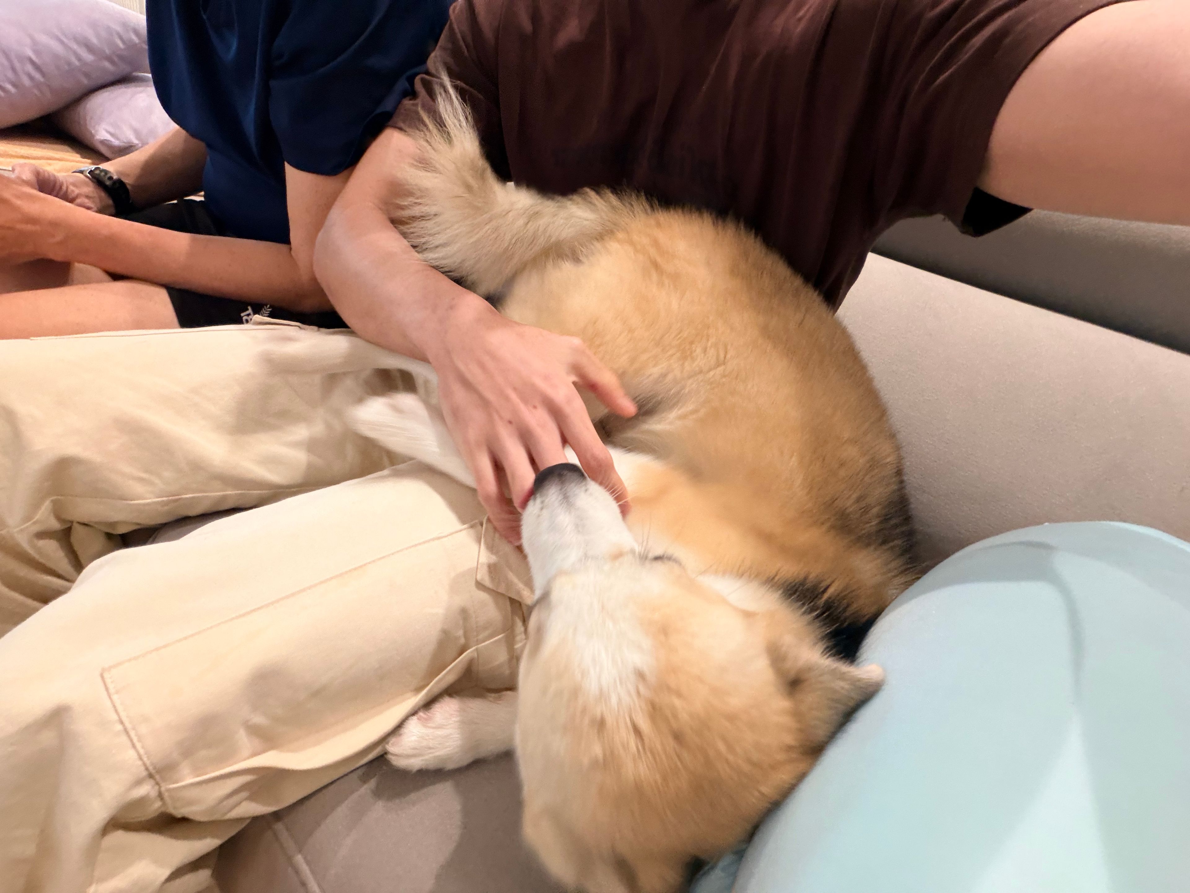image-11