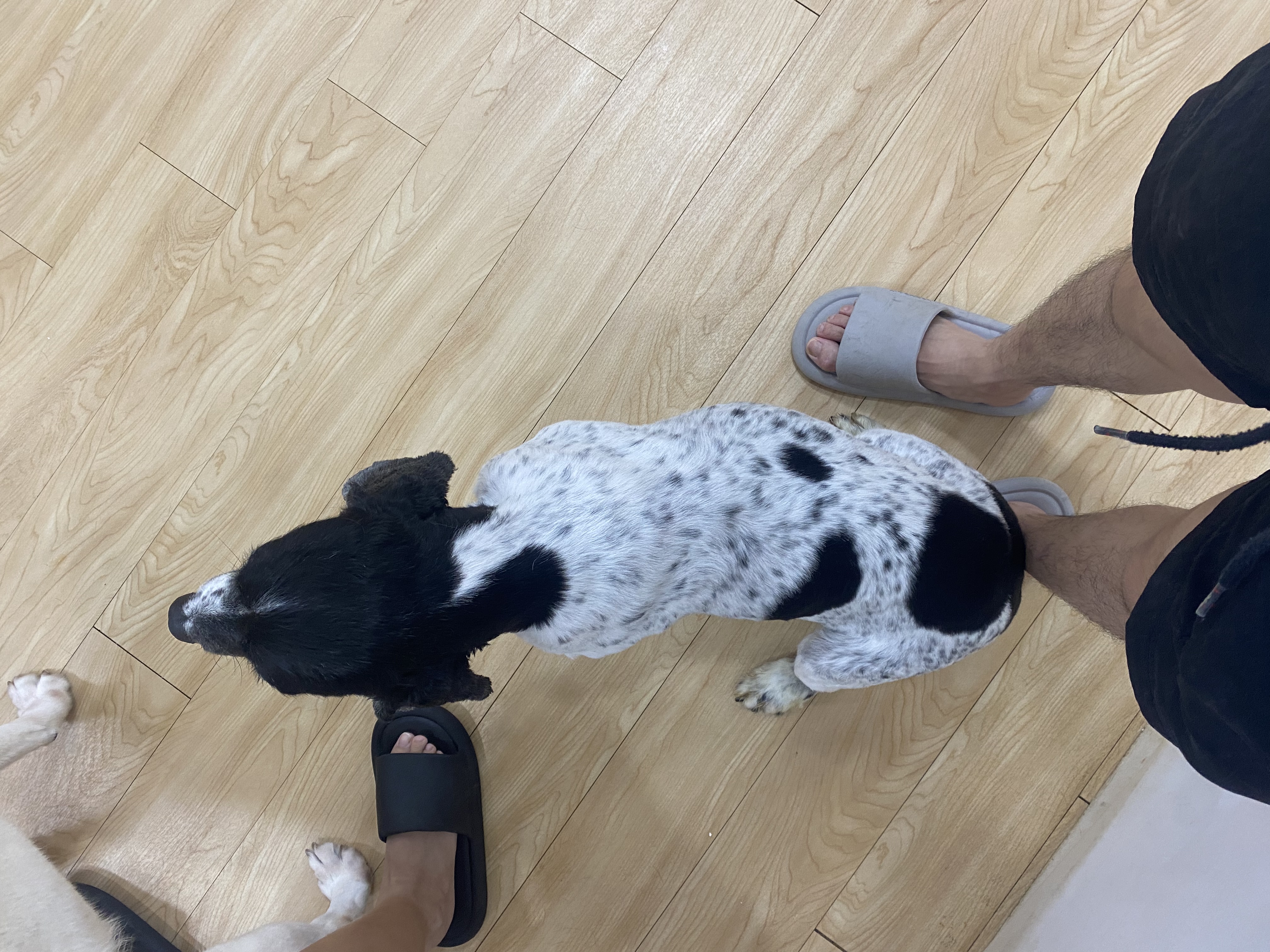 image-6