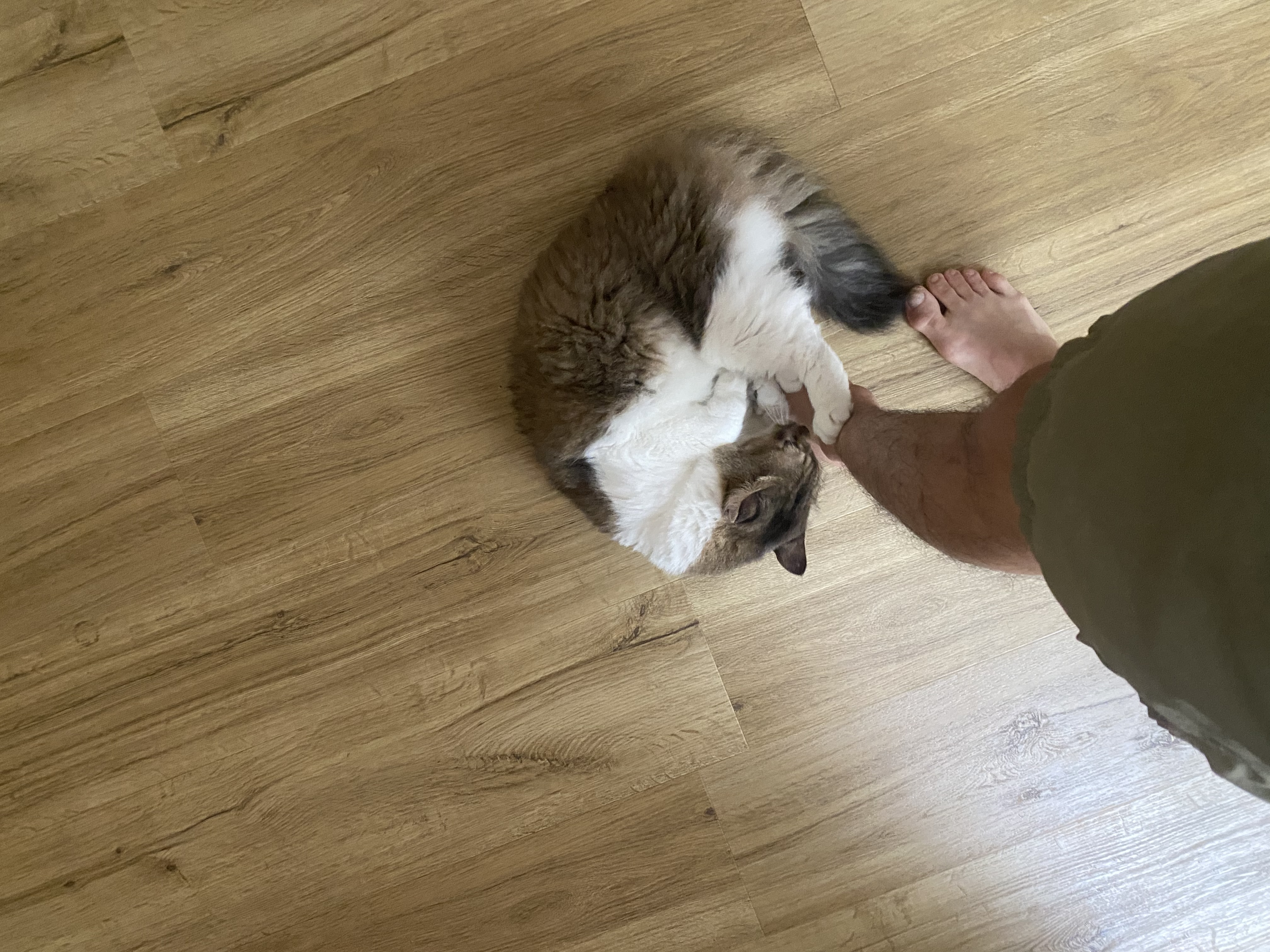 image-11