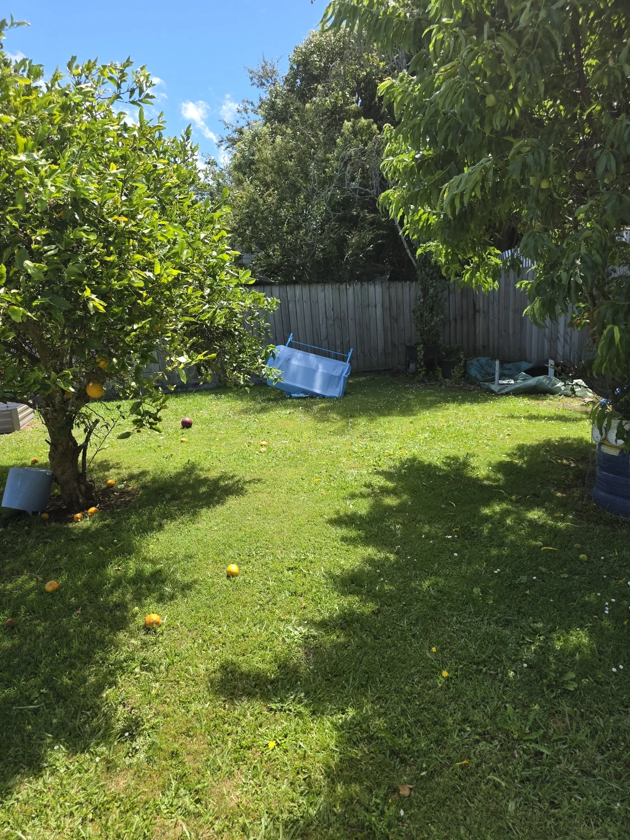image-14