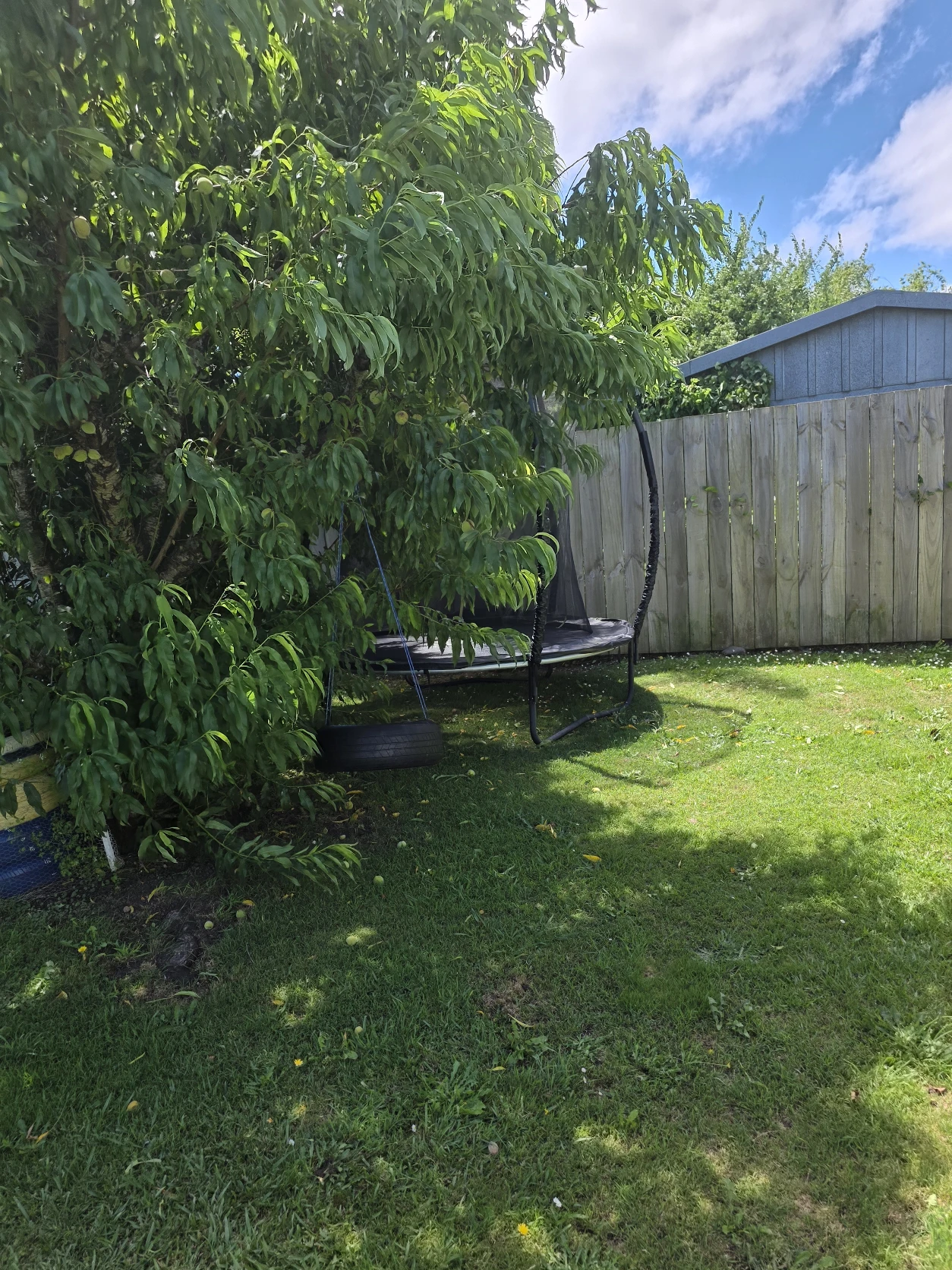 image-15