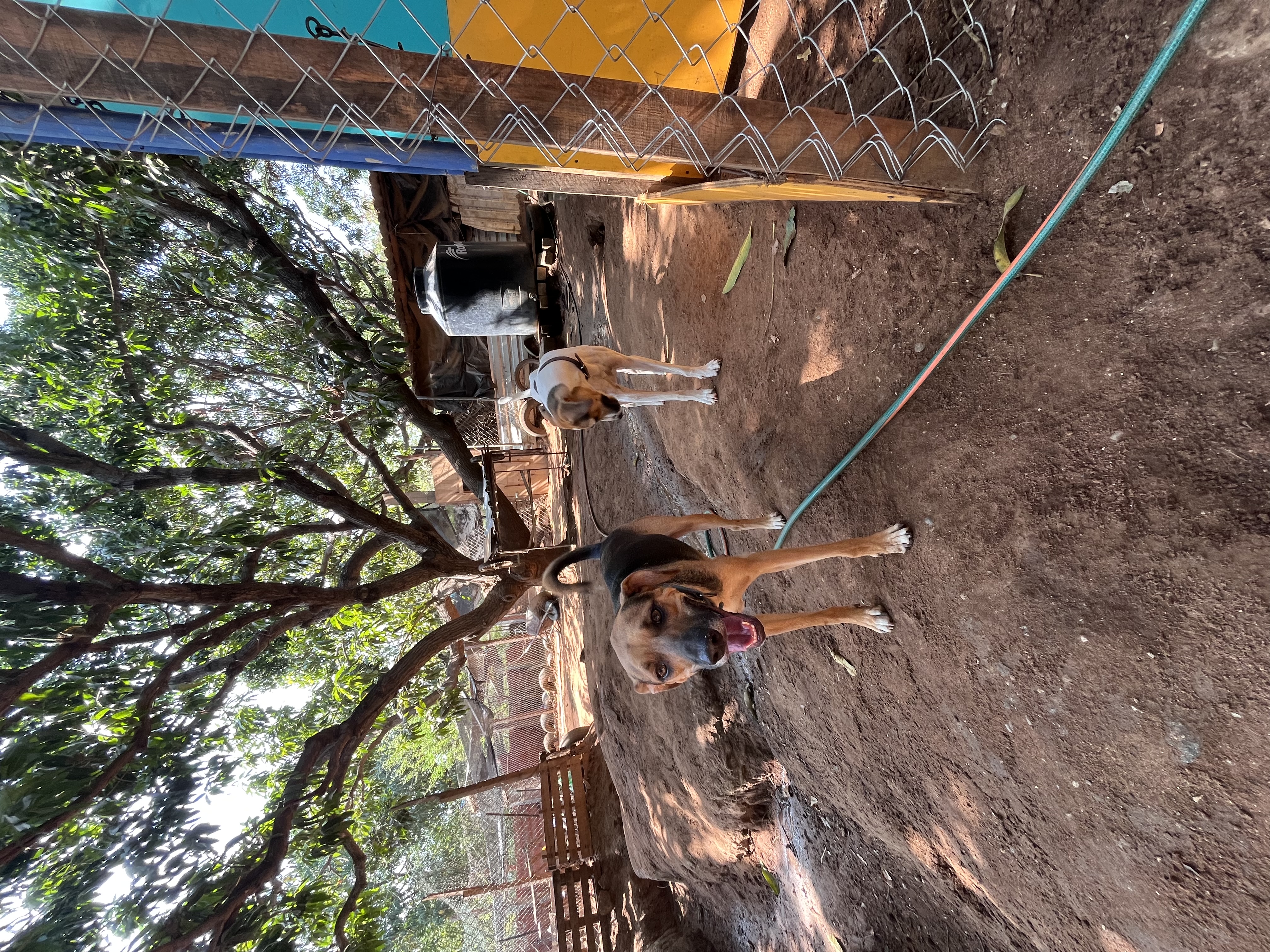 image-5