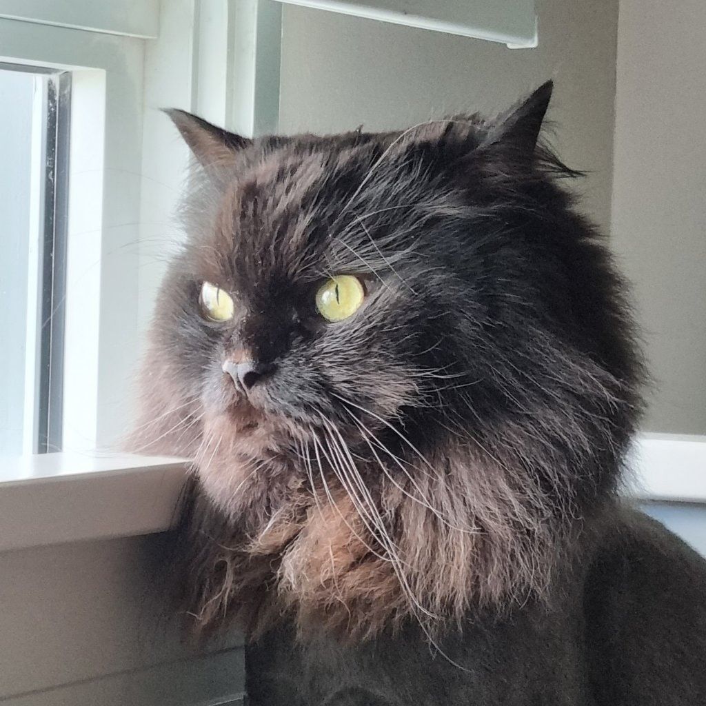 Salem