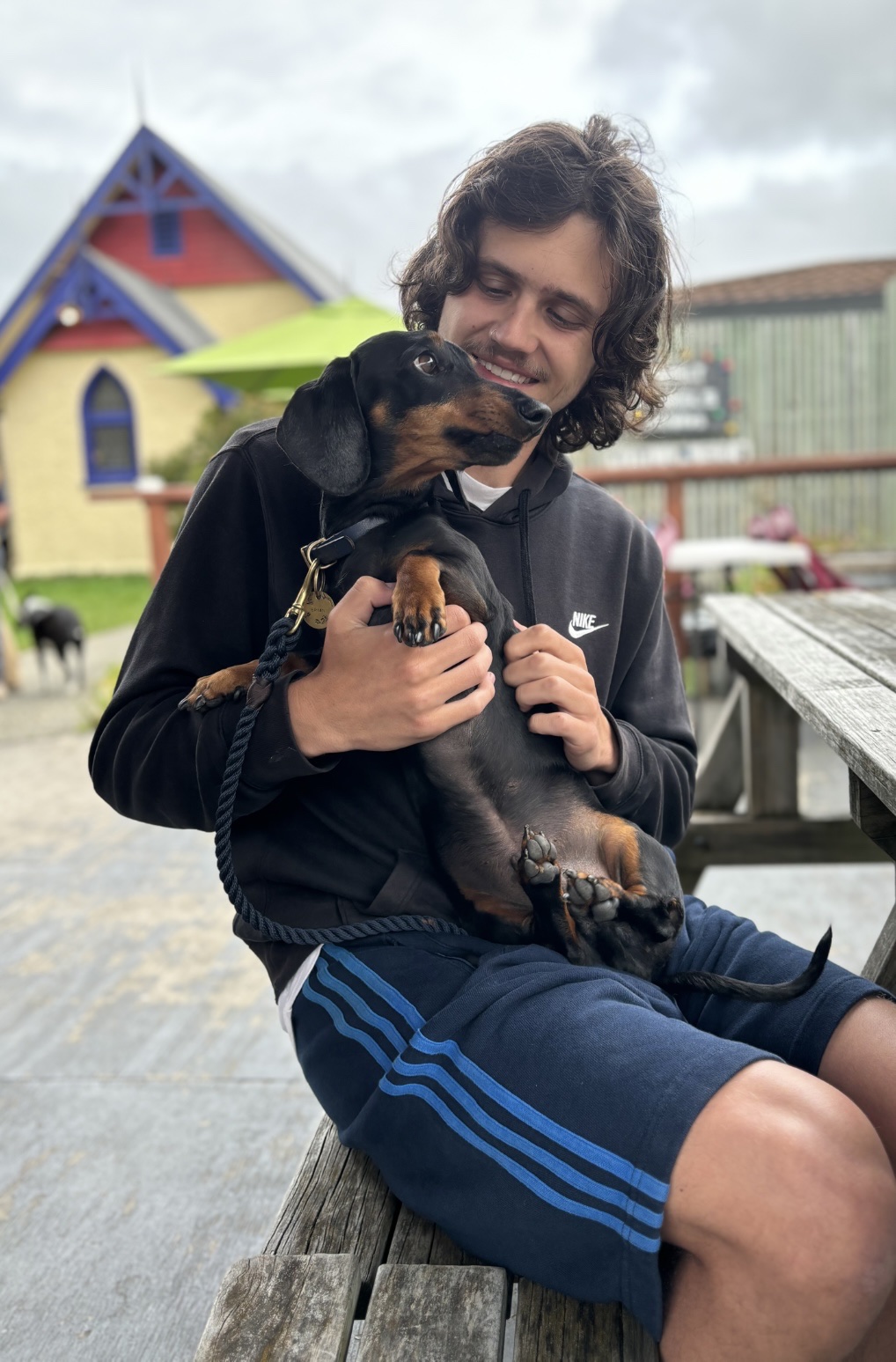 image-5