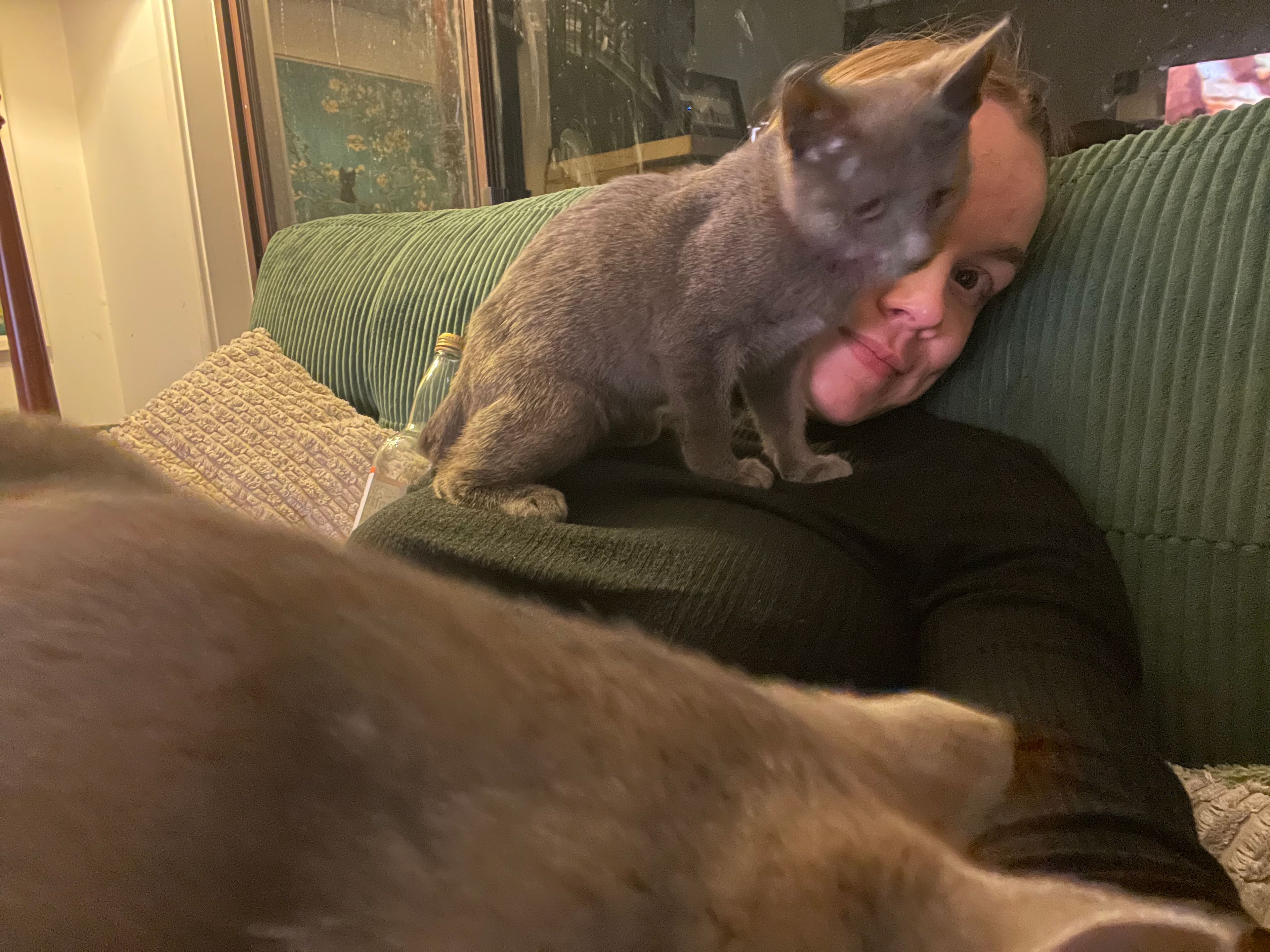 image-13