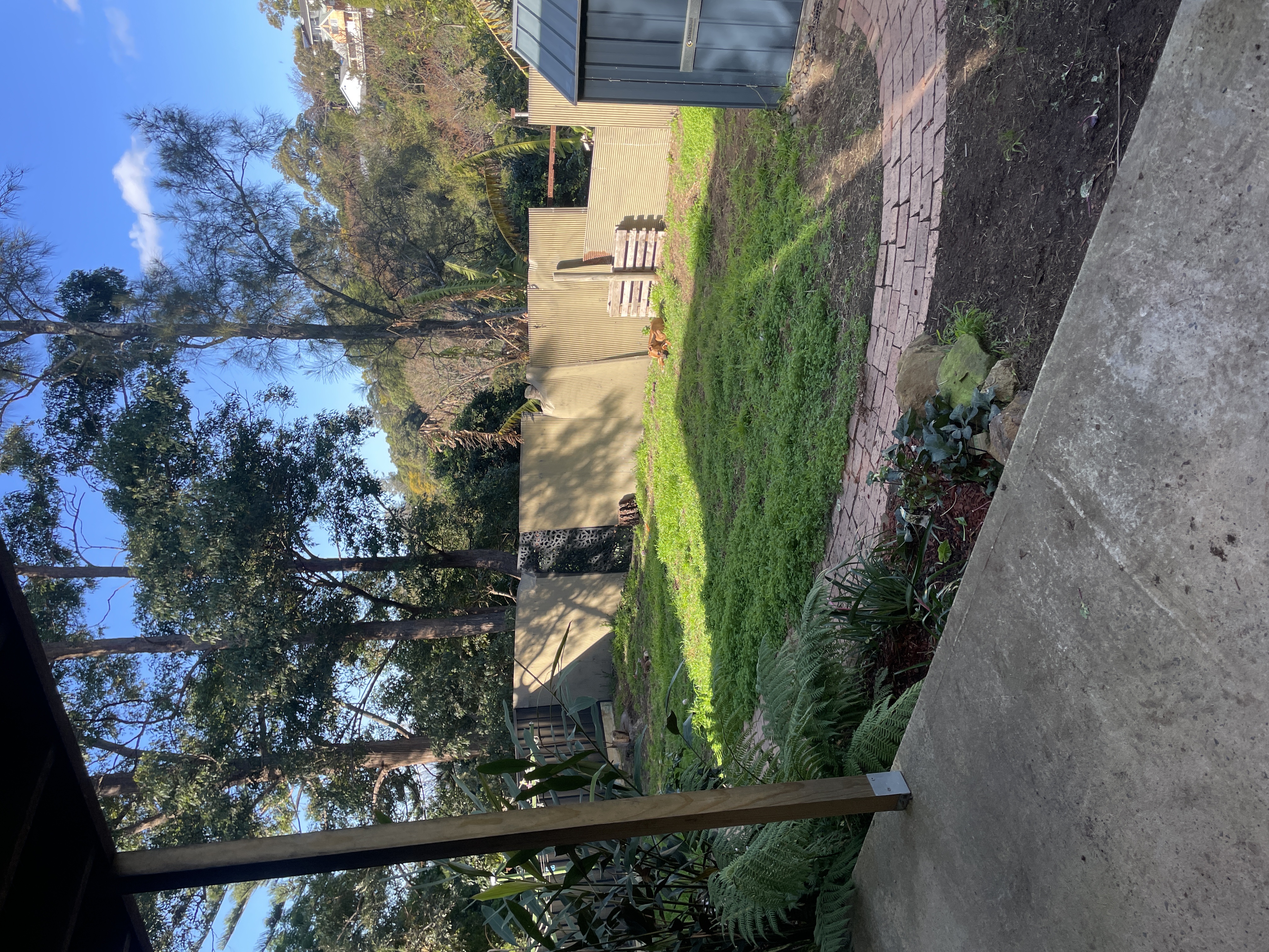 image-17