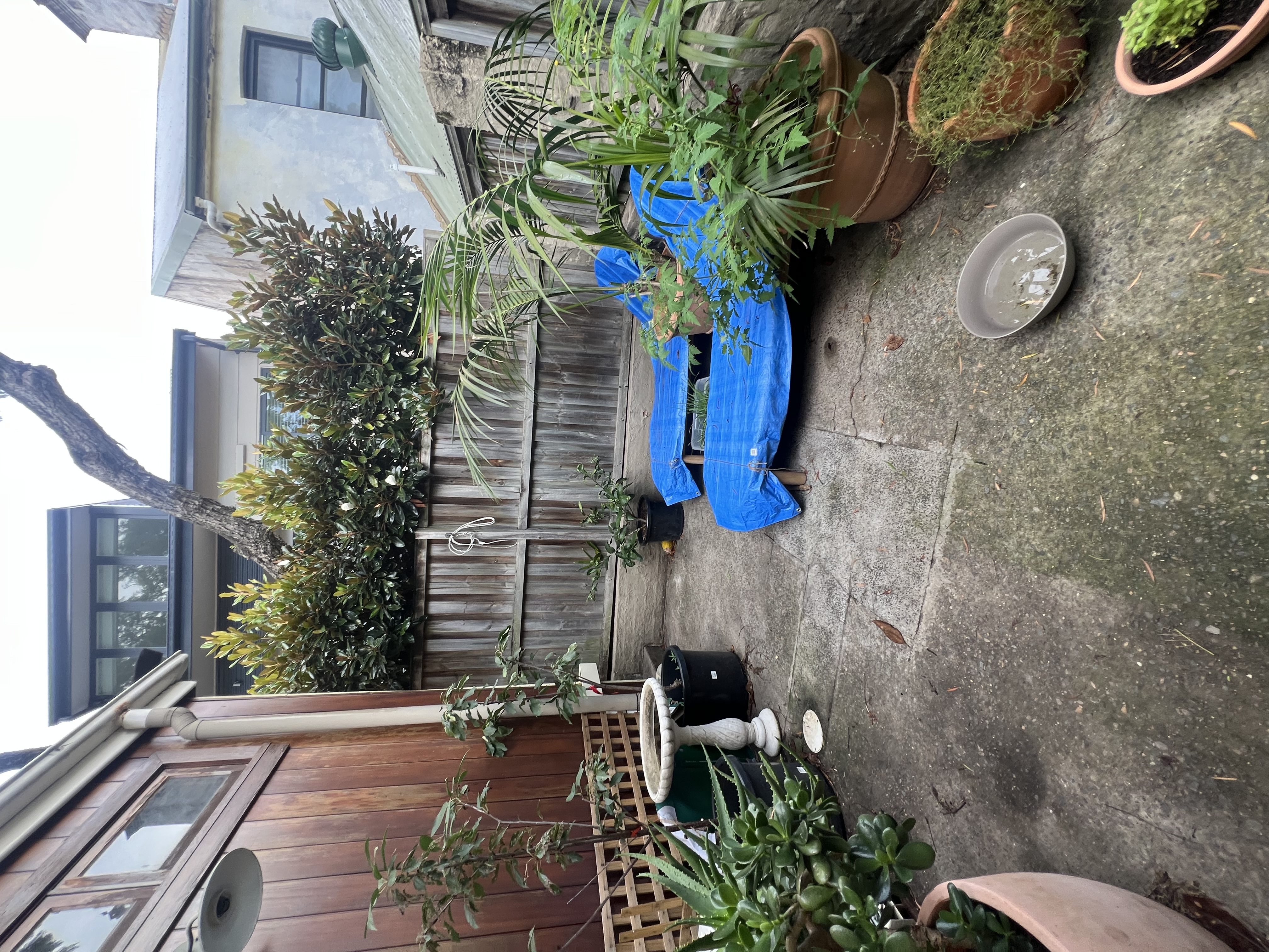 image-20