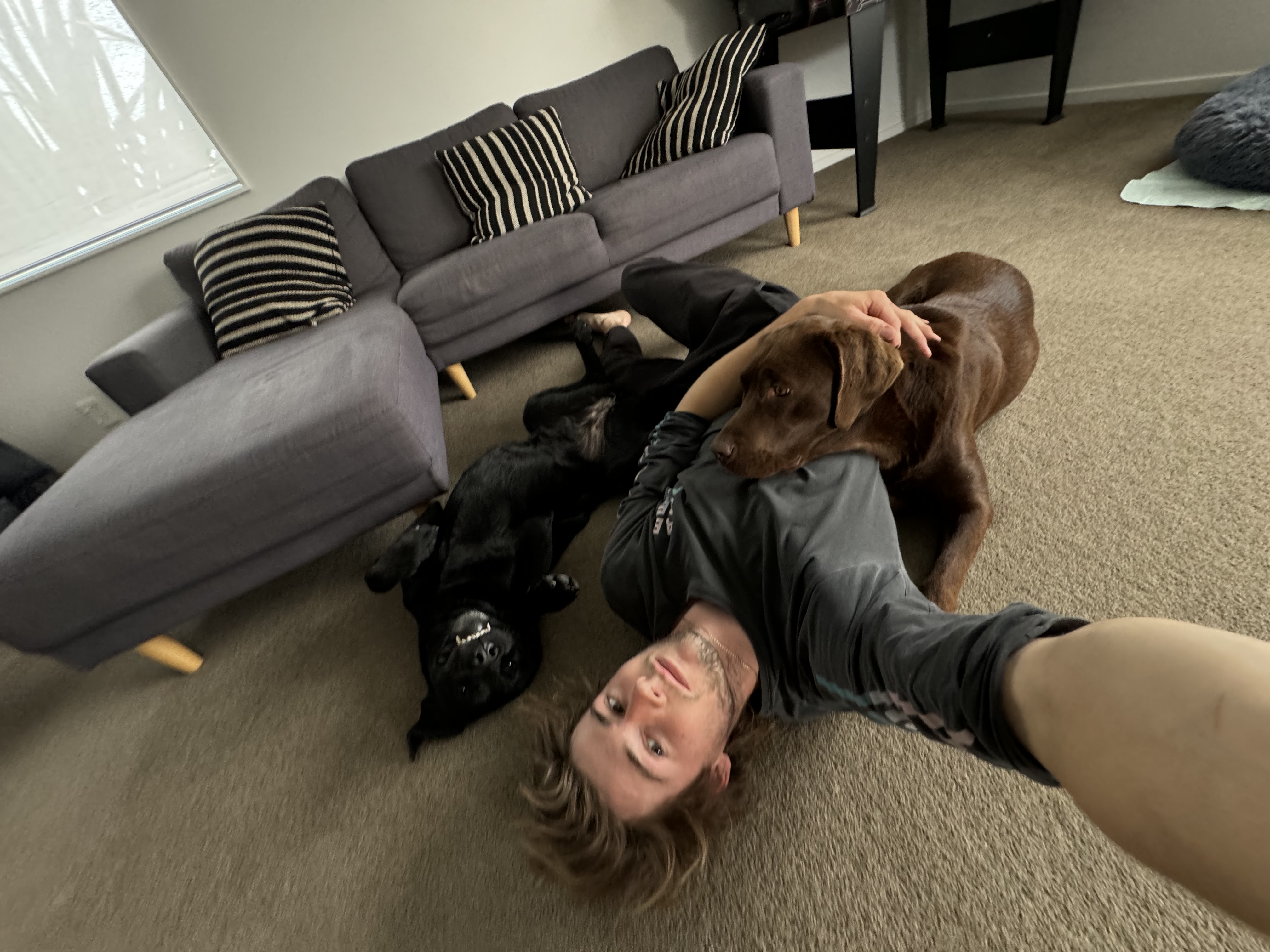 image-1