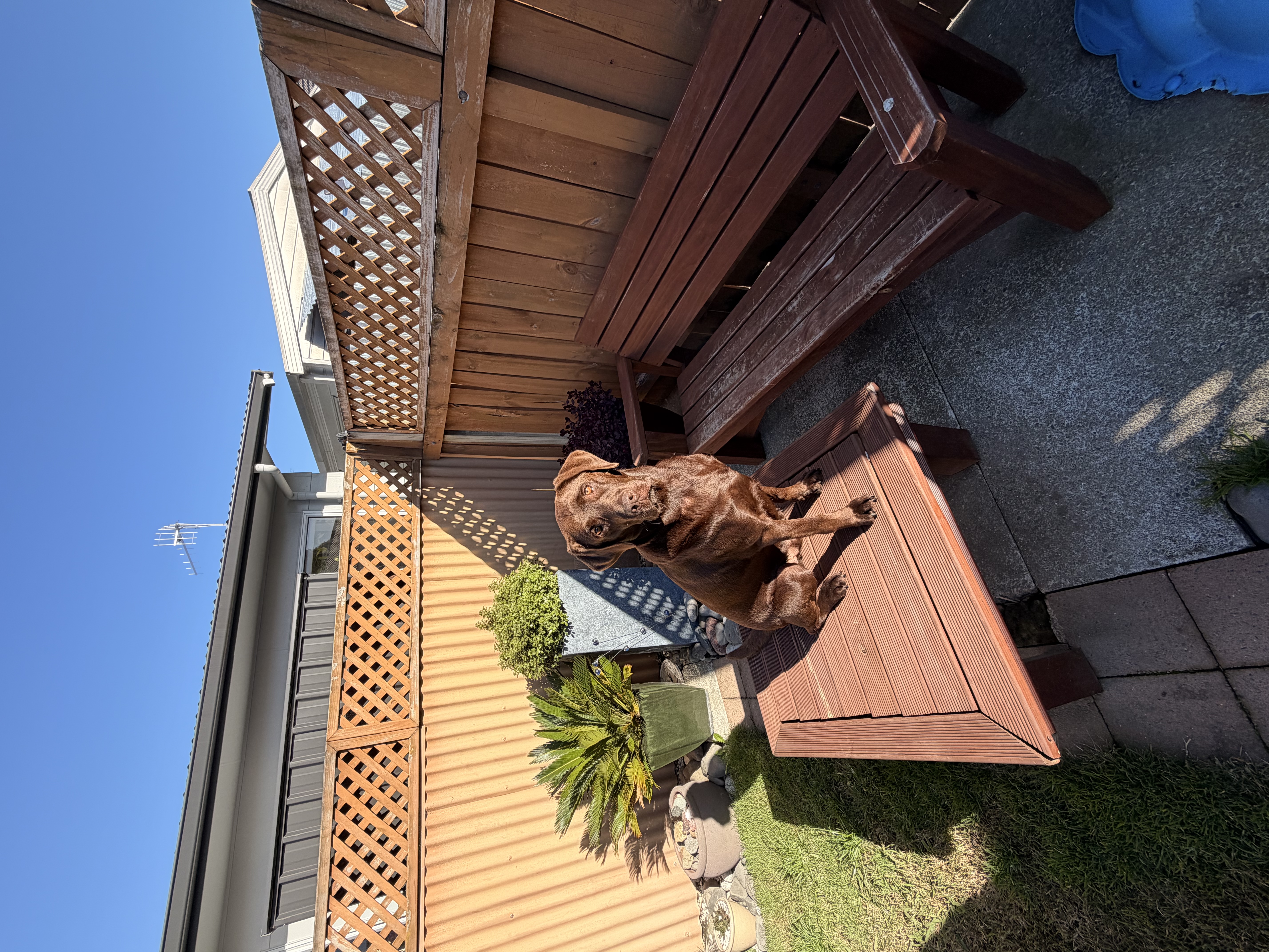 image-10