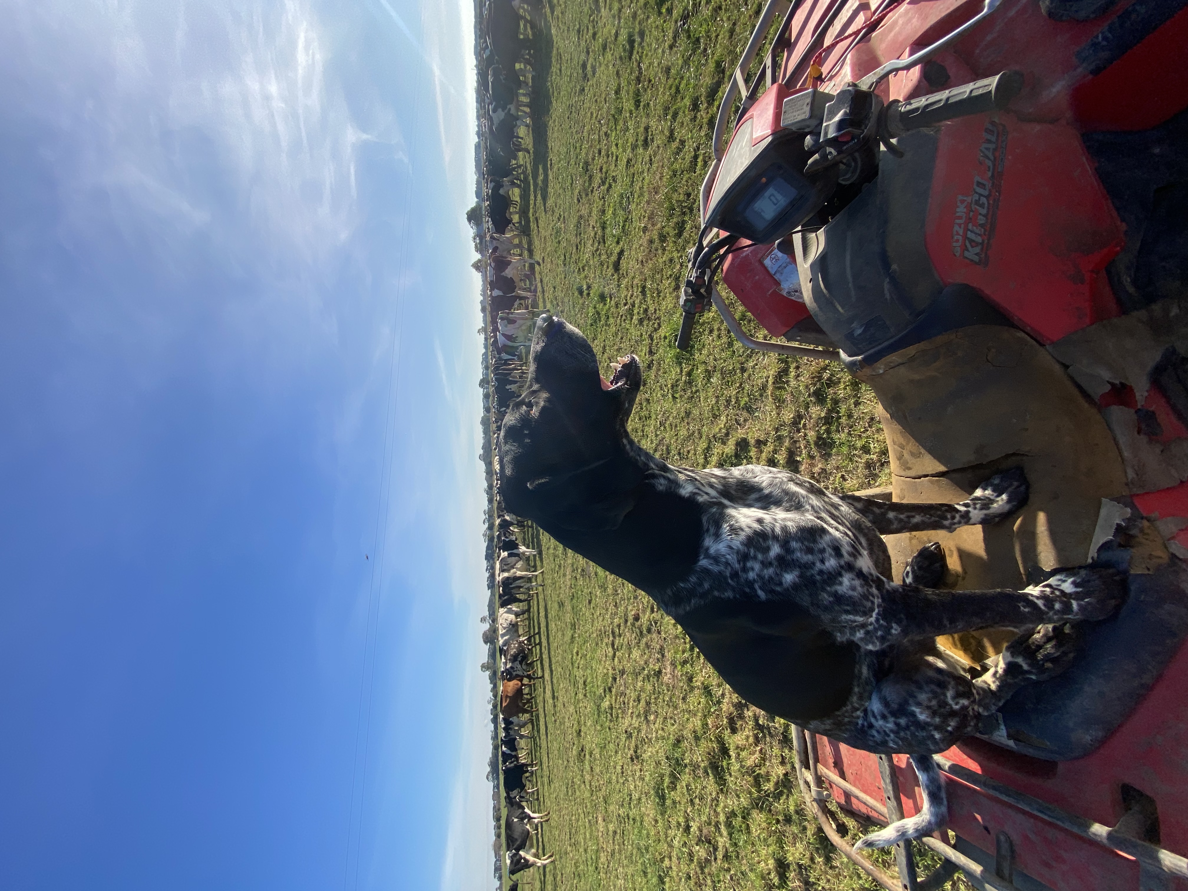 image-7