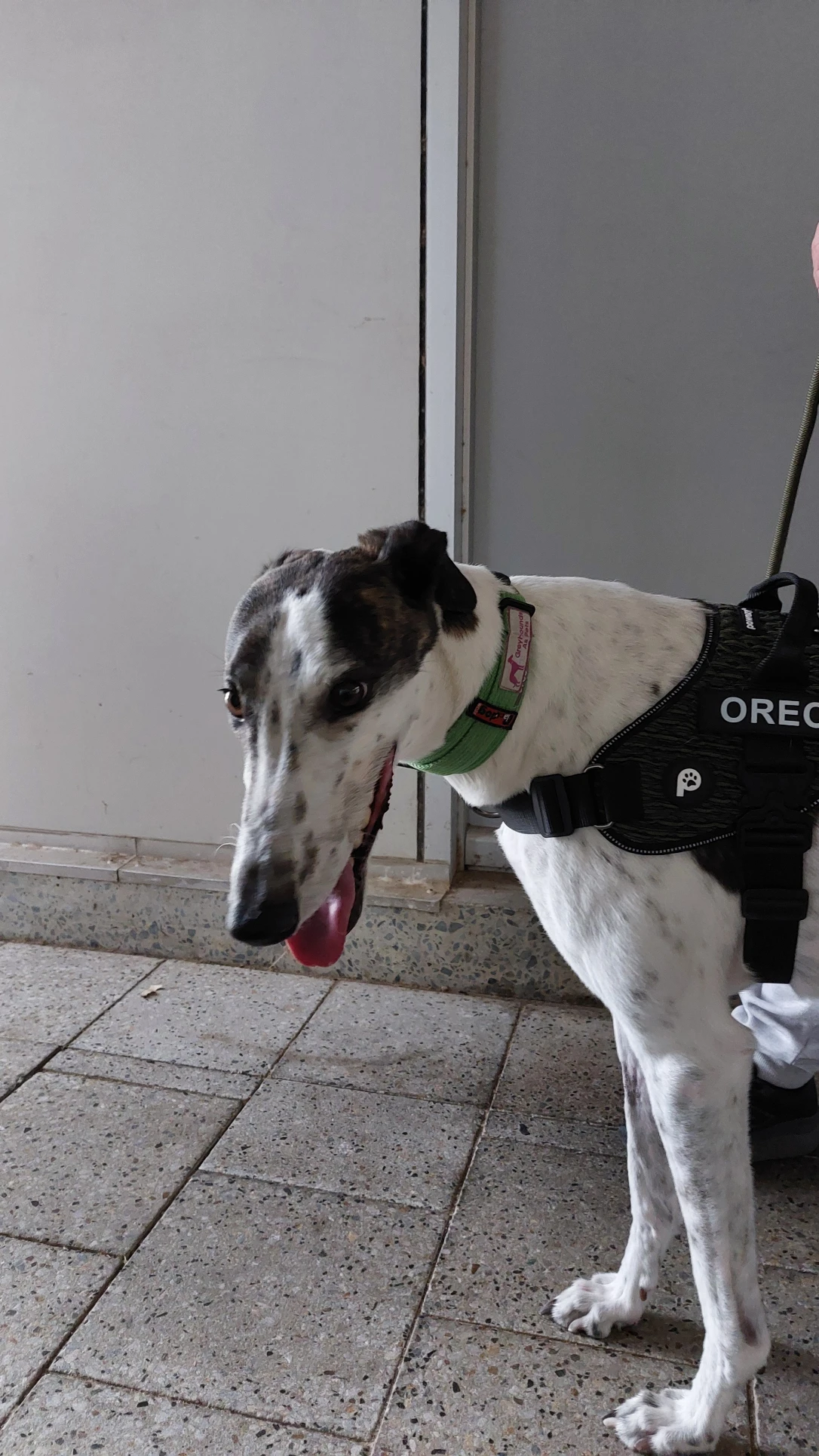 image-5