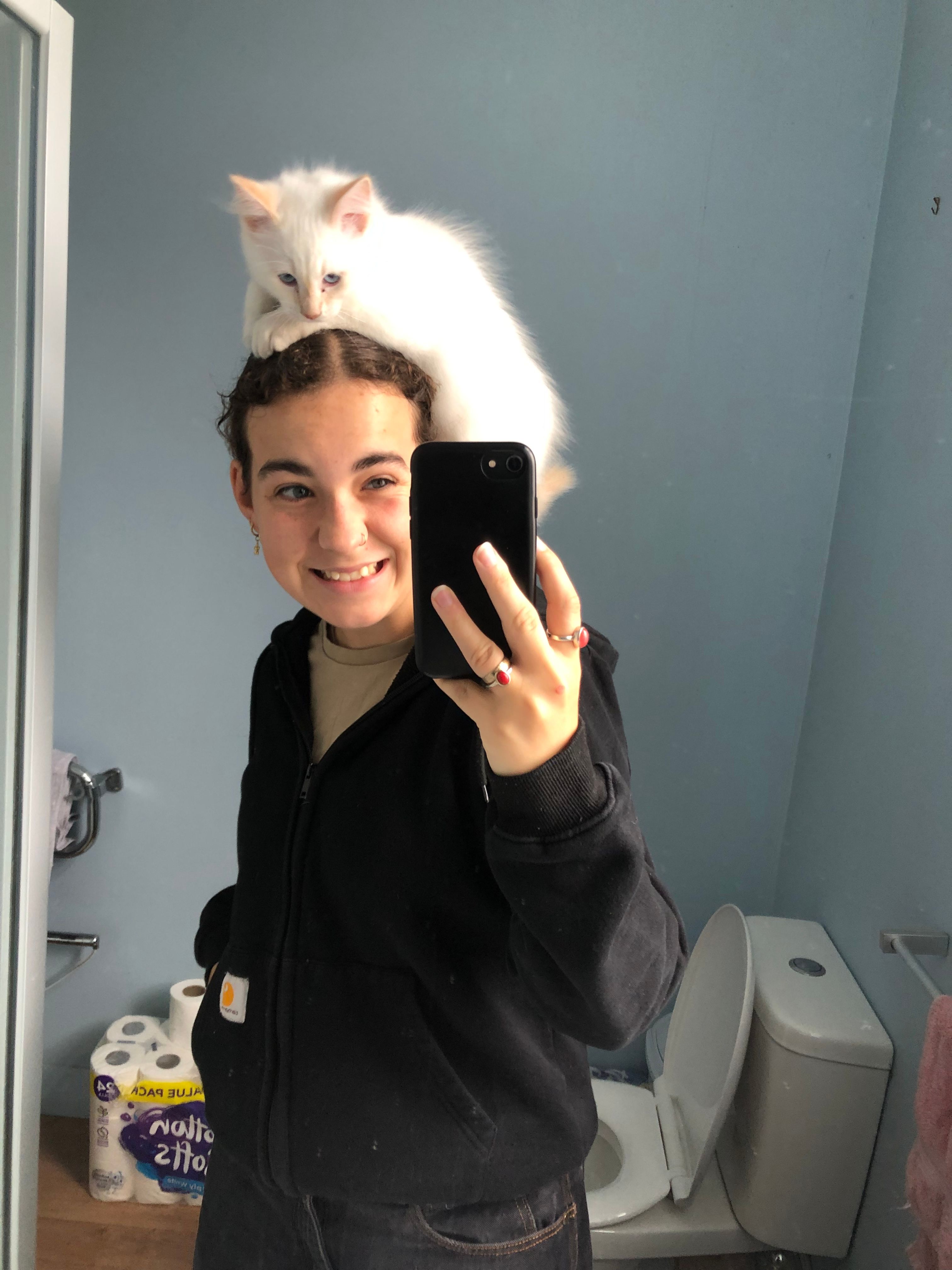 image-6