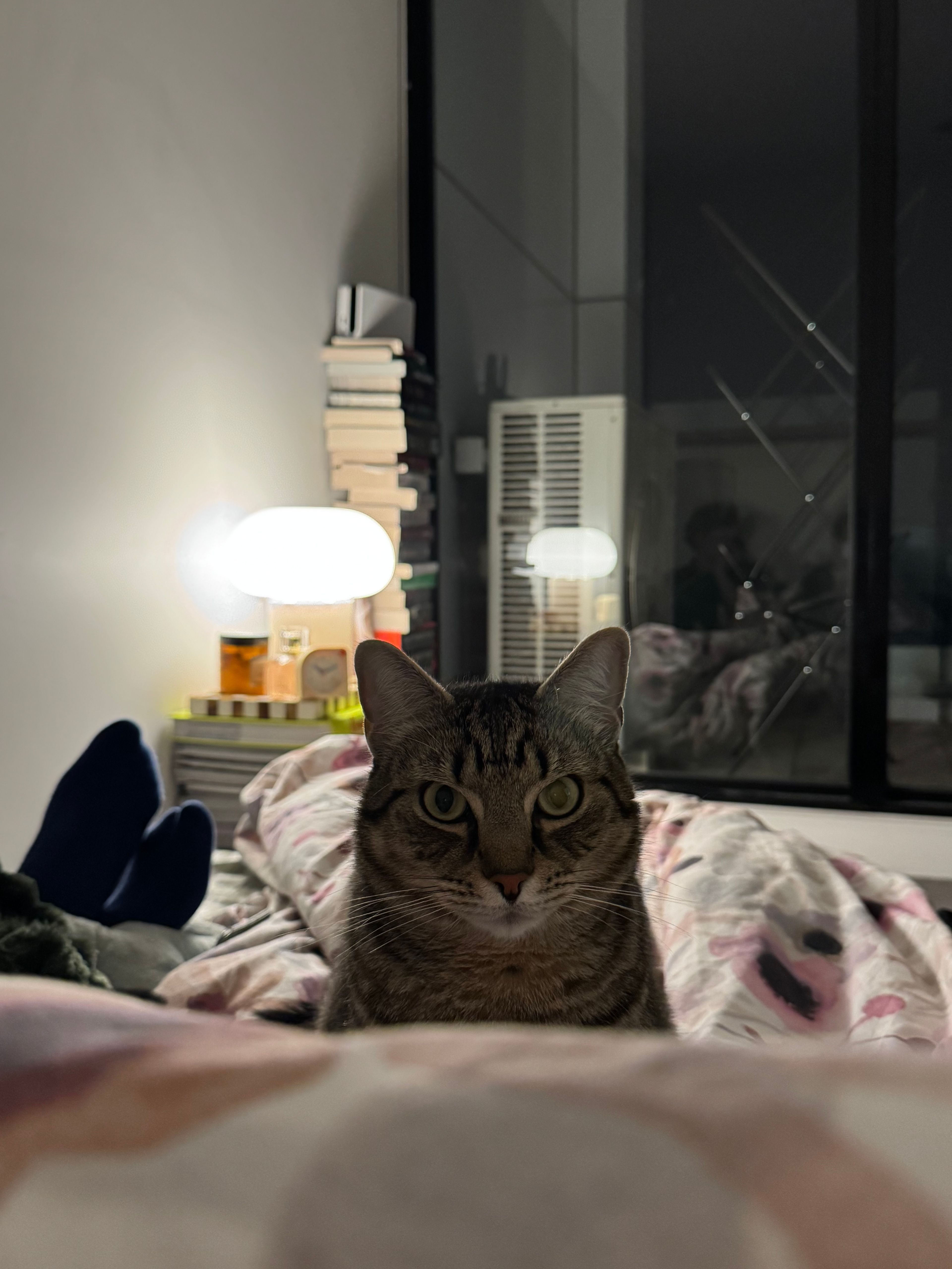 image-11