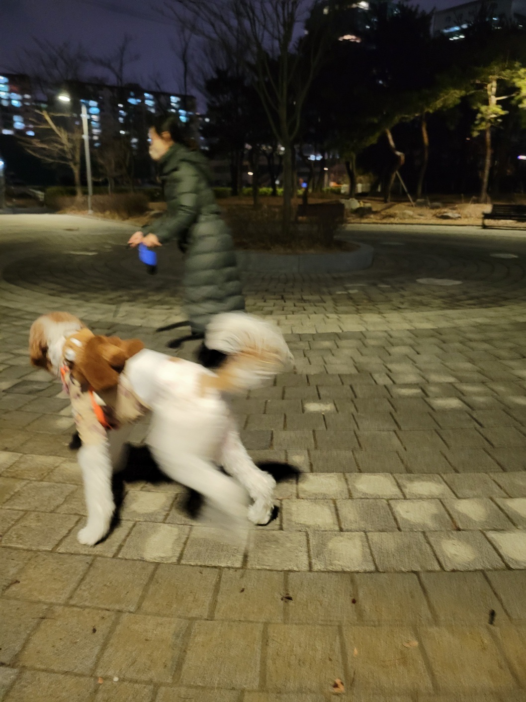 image-5