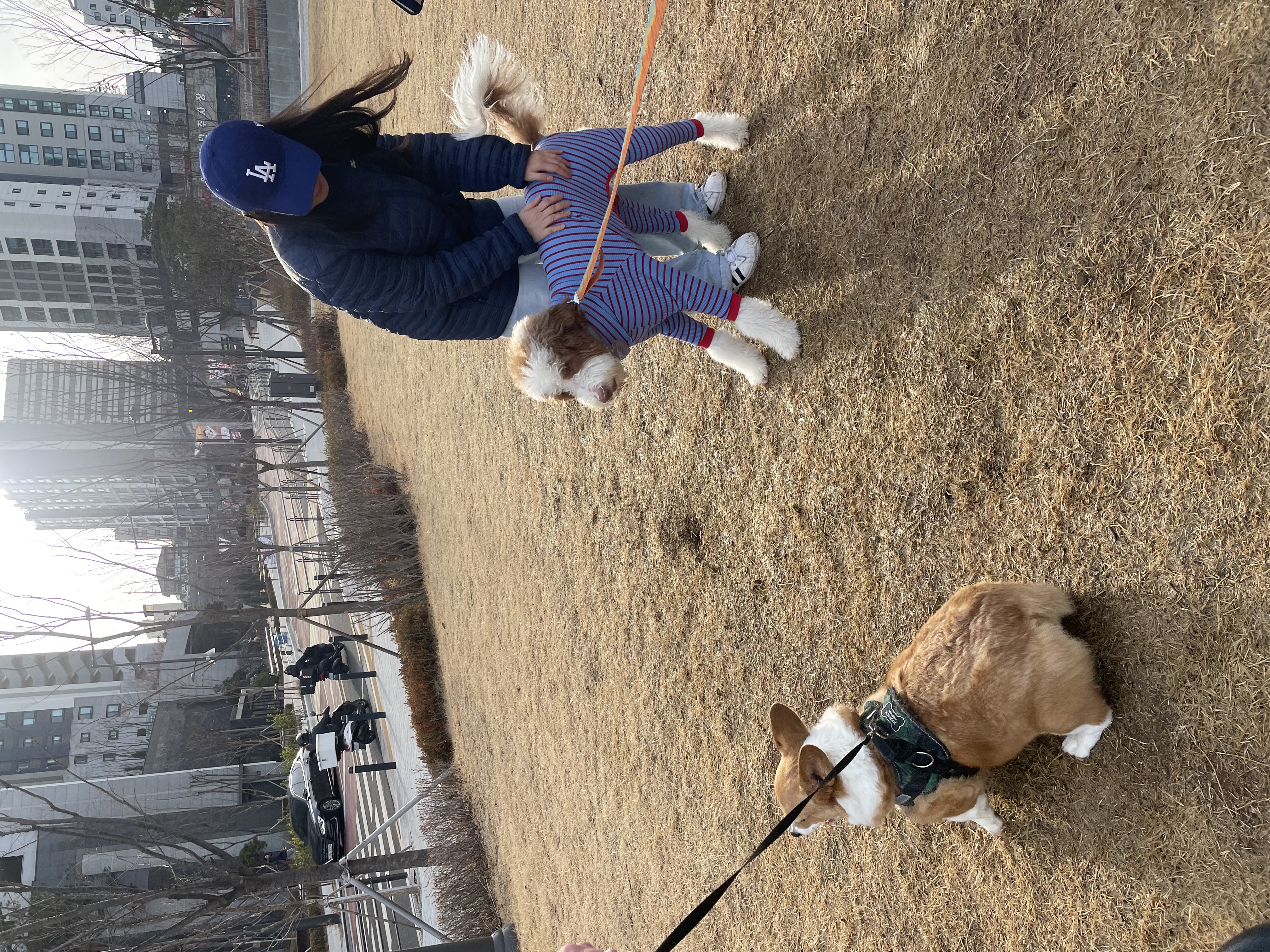 image-3