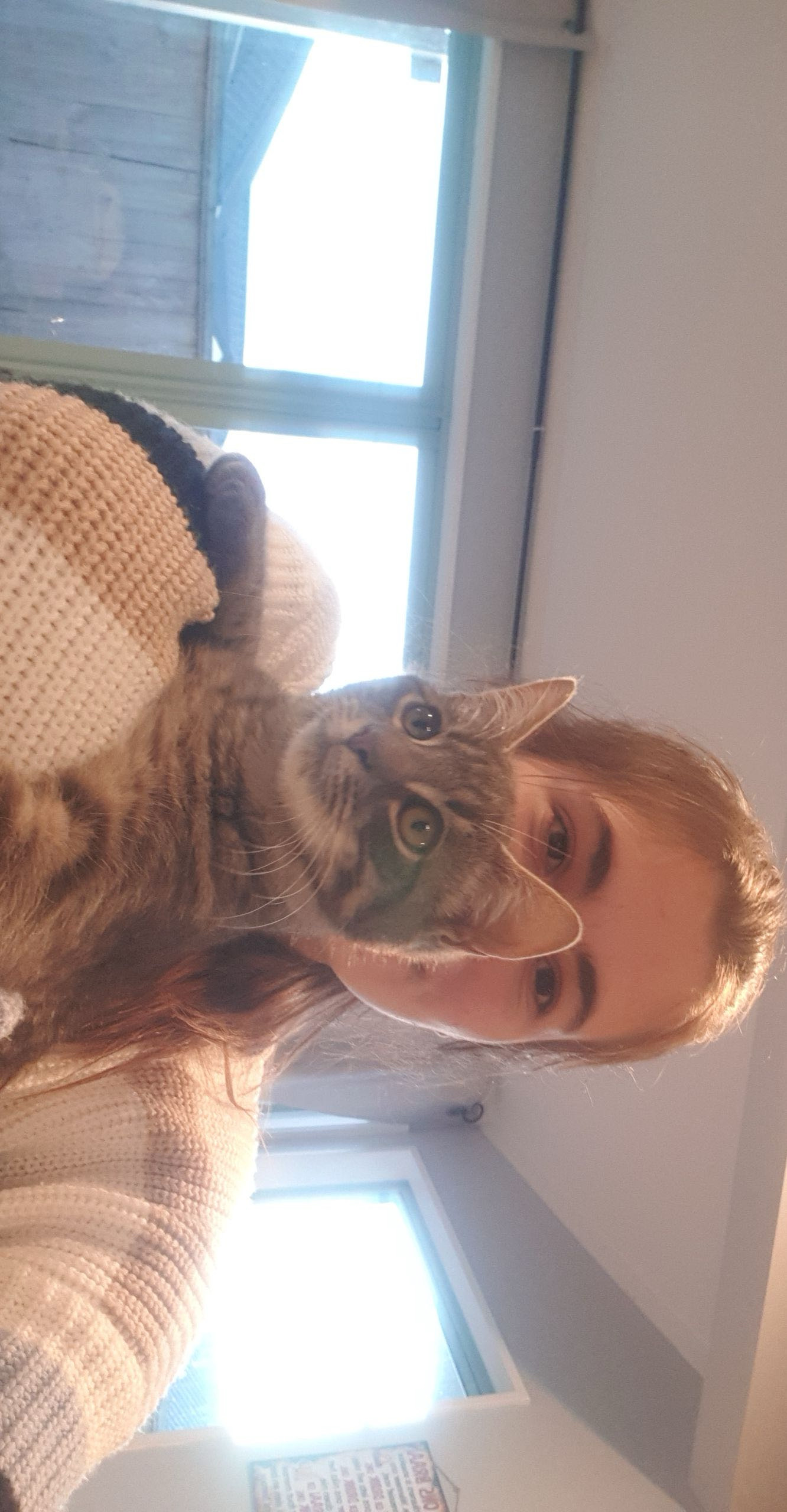 image-8