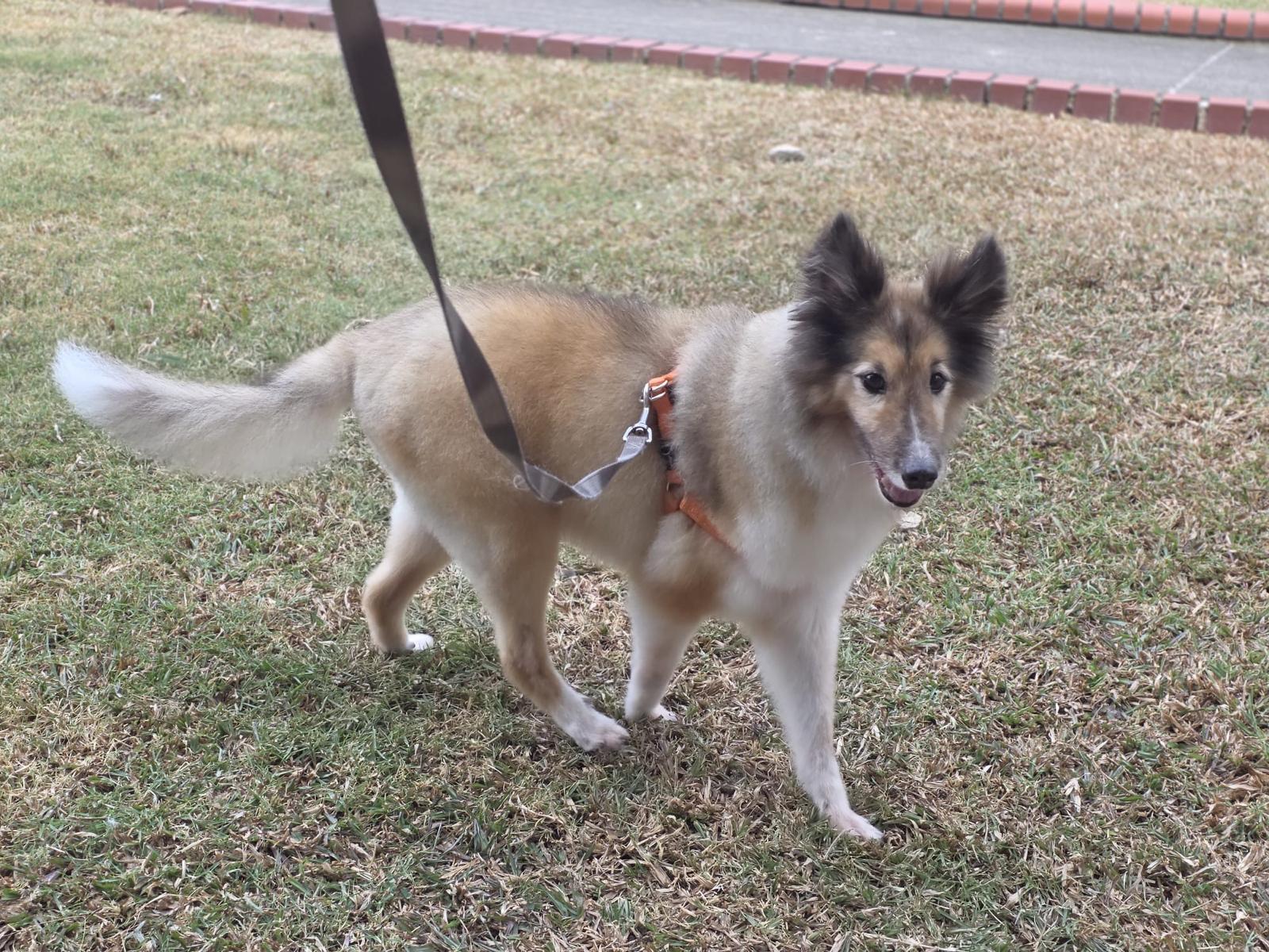 image-9