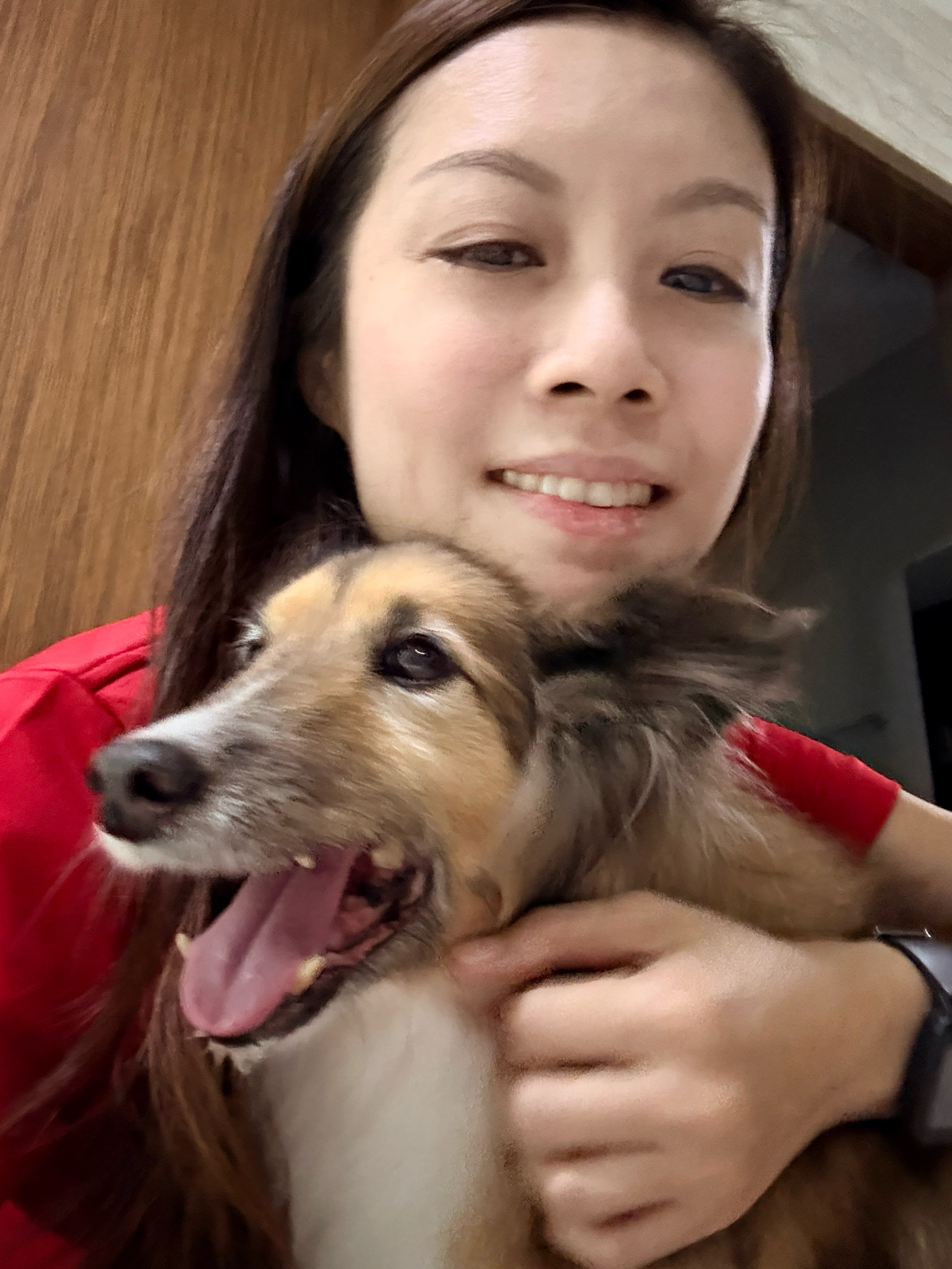 image-6