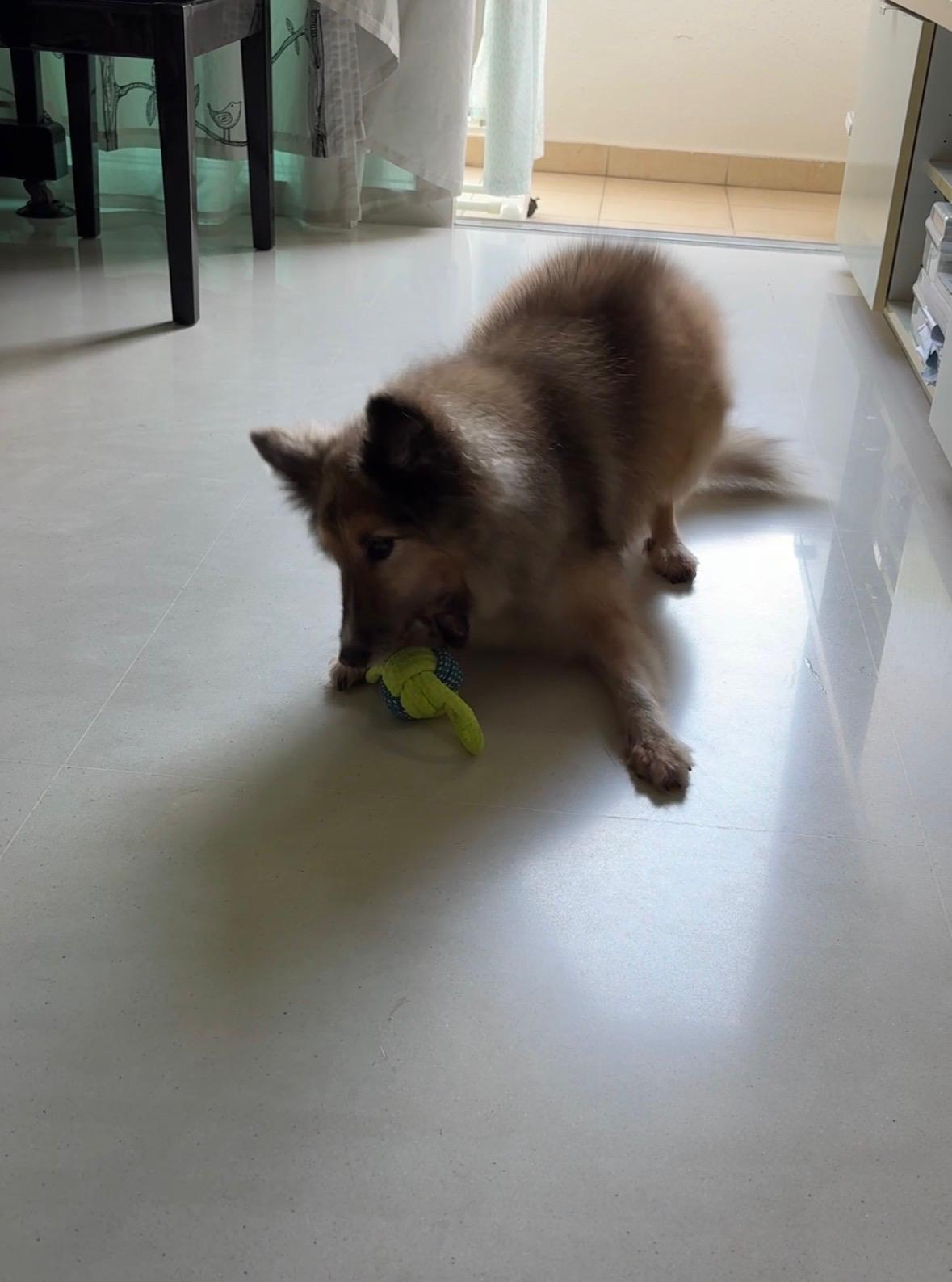 image-16