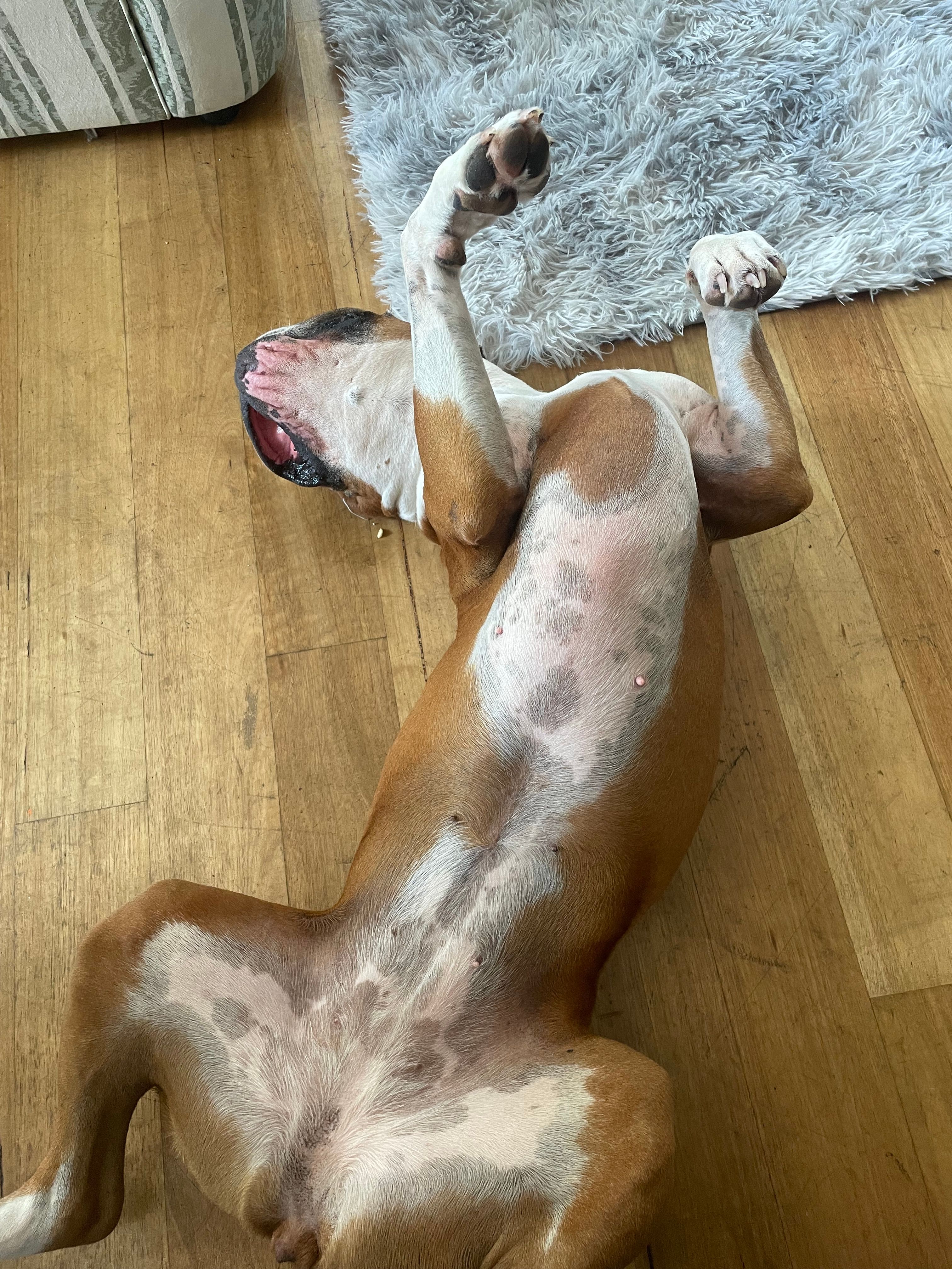 image-8