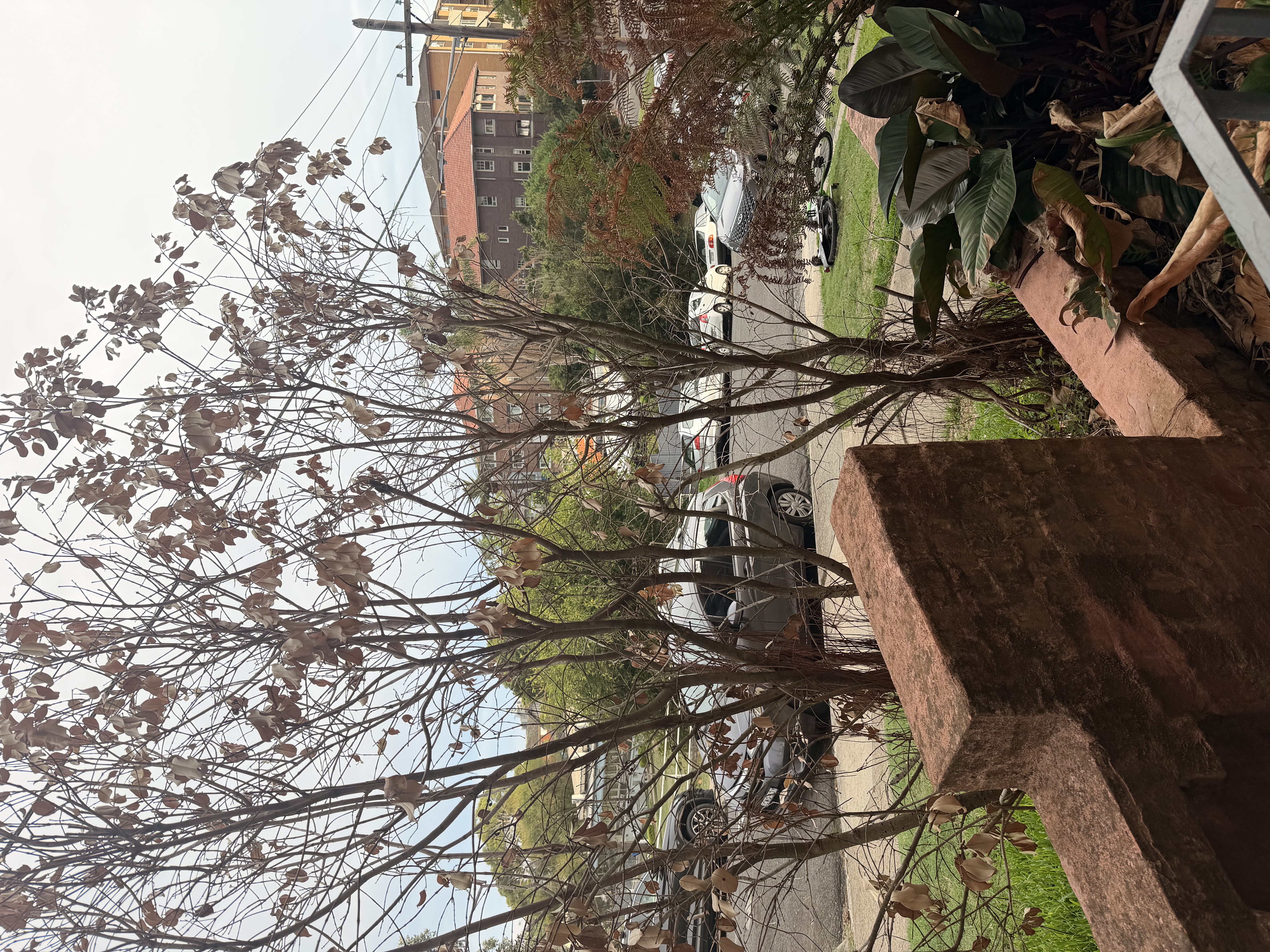 image-20