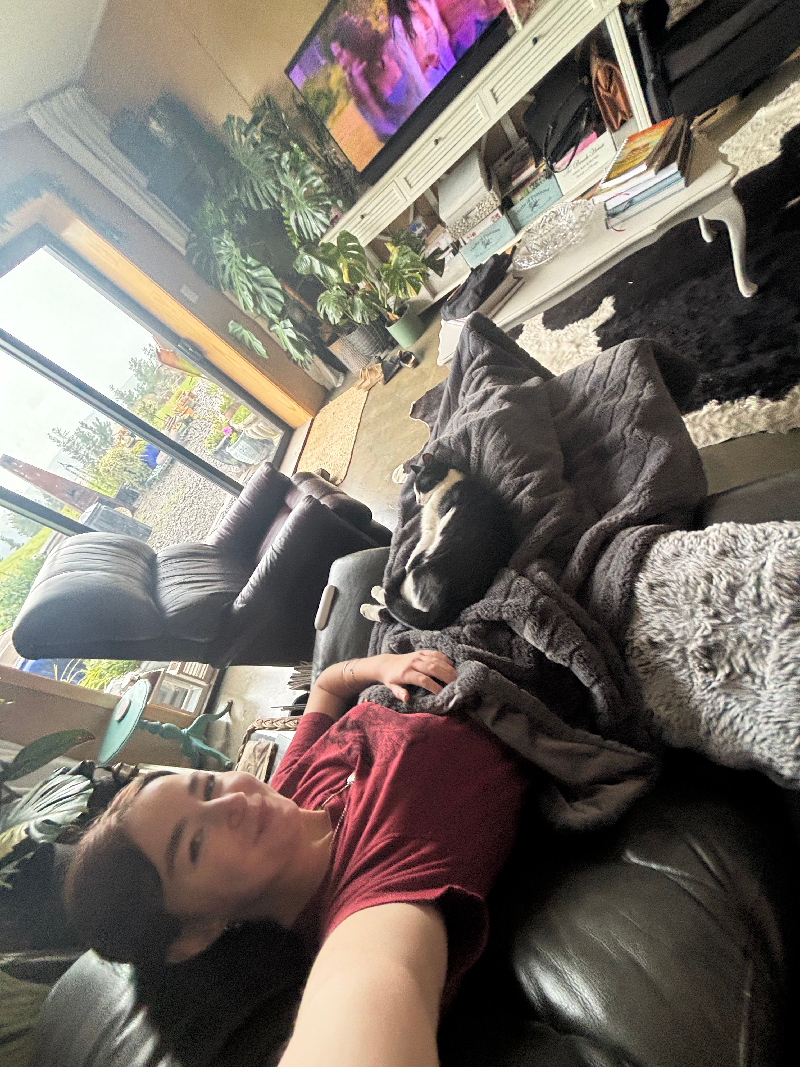 image-8