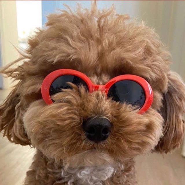 Mochi