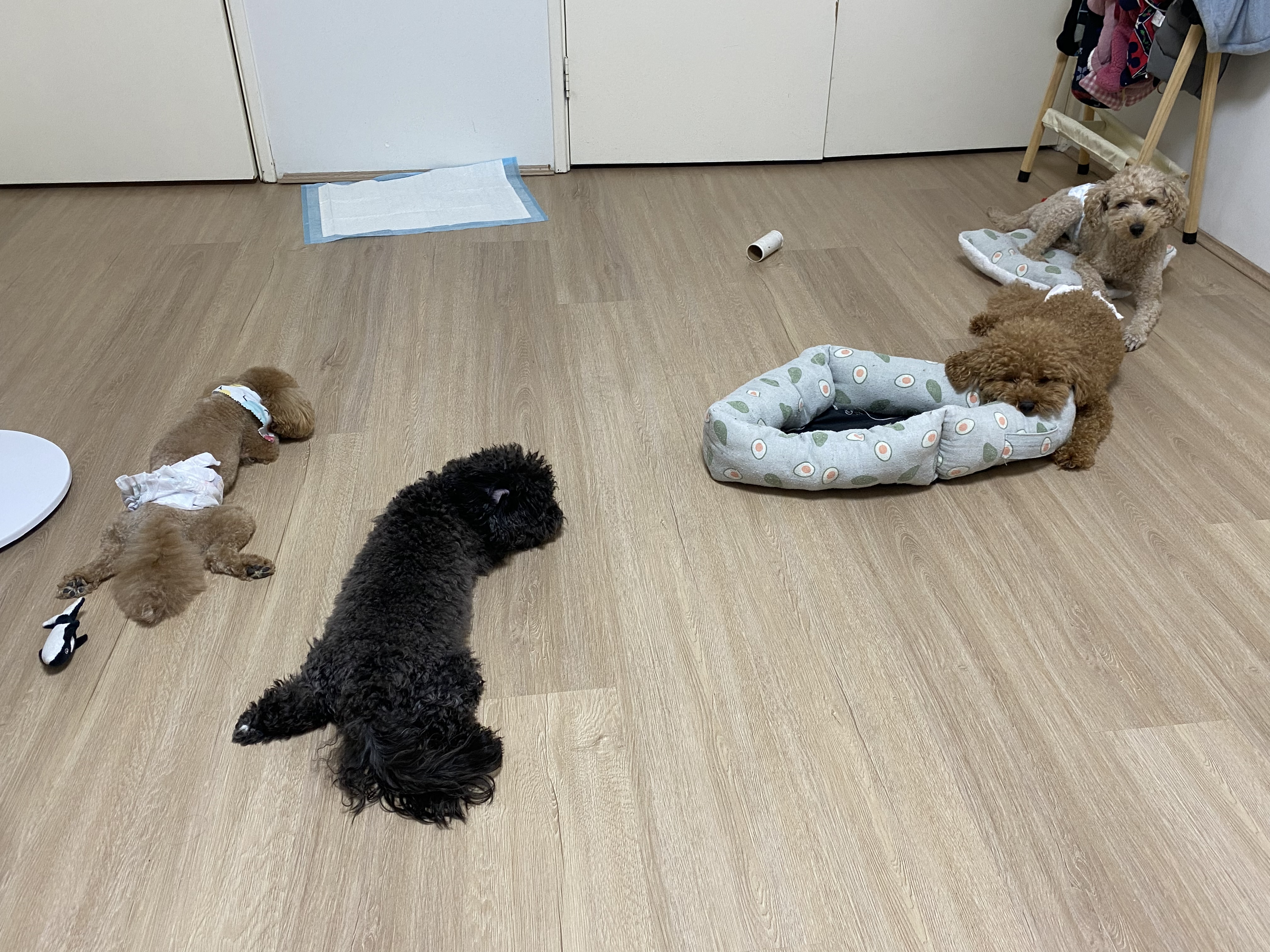 image-16