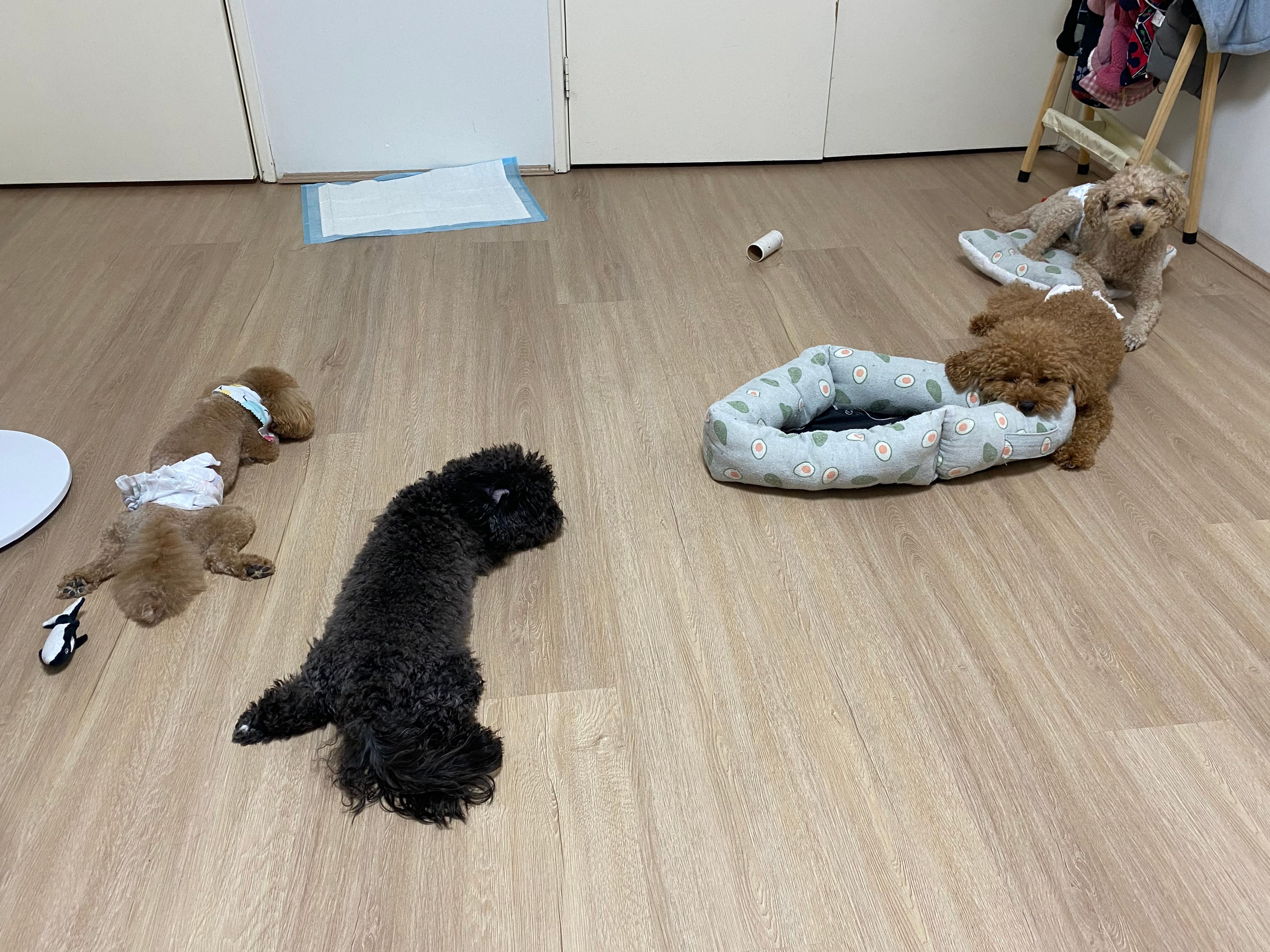 image-16