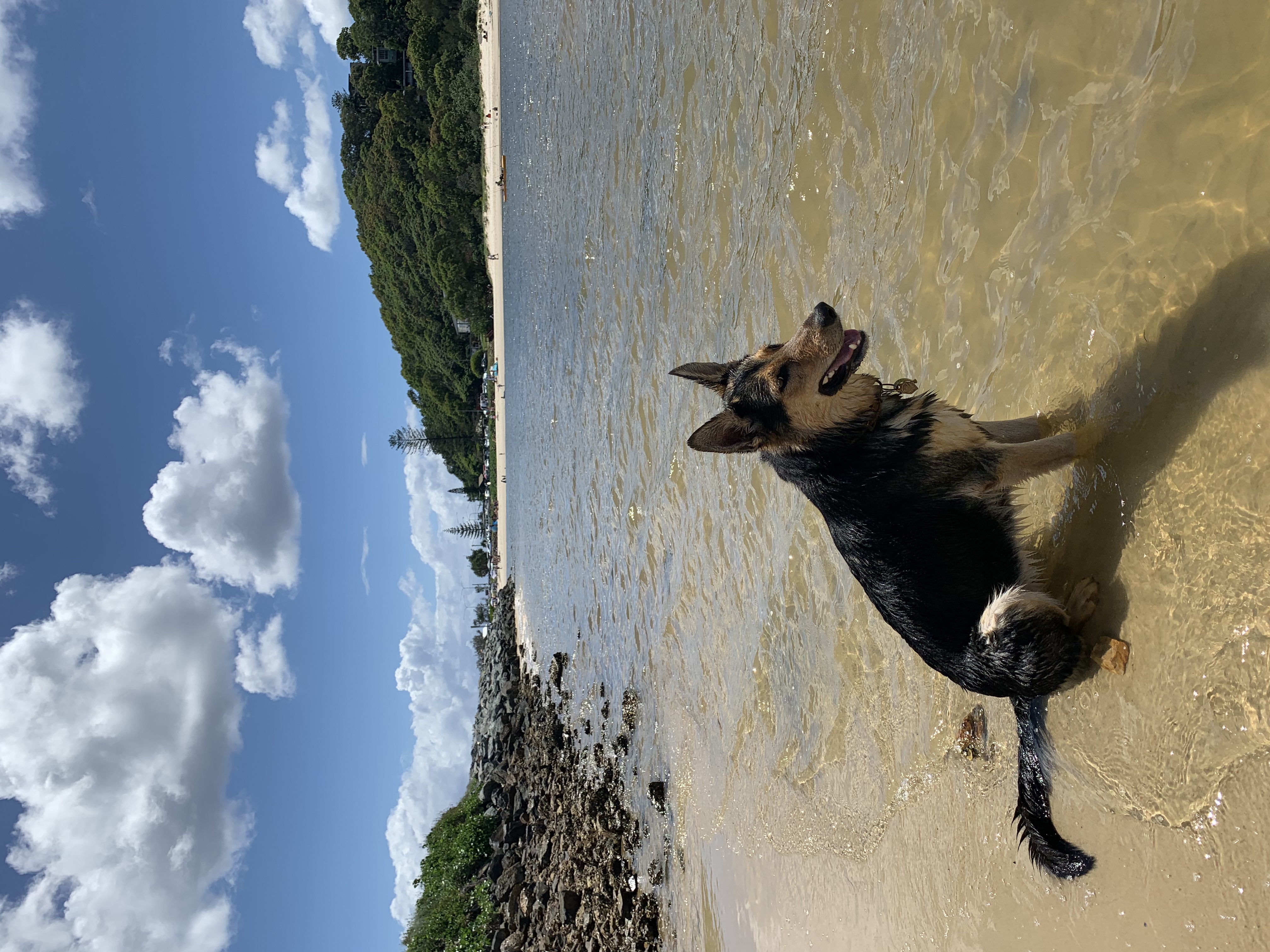 image-9