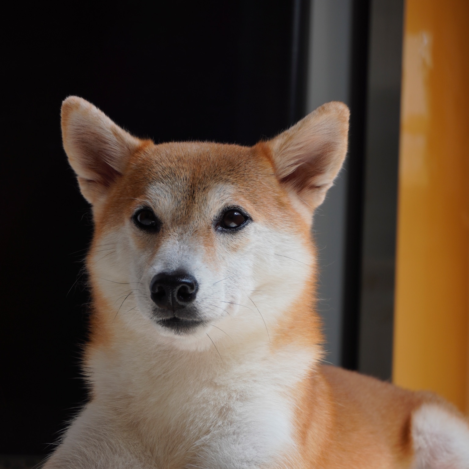 Qq